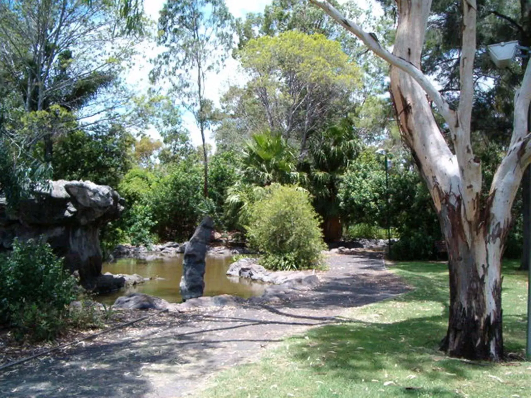 Natural landscape, Garden in Dalby Manor Motor Inn