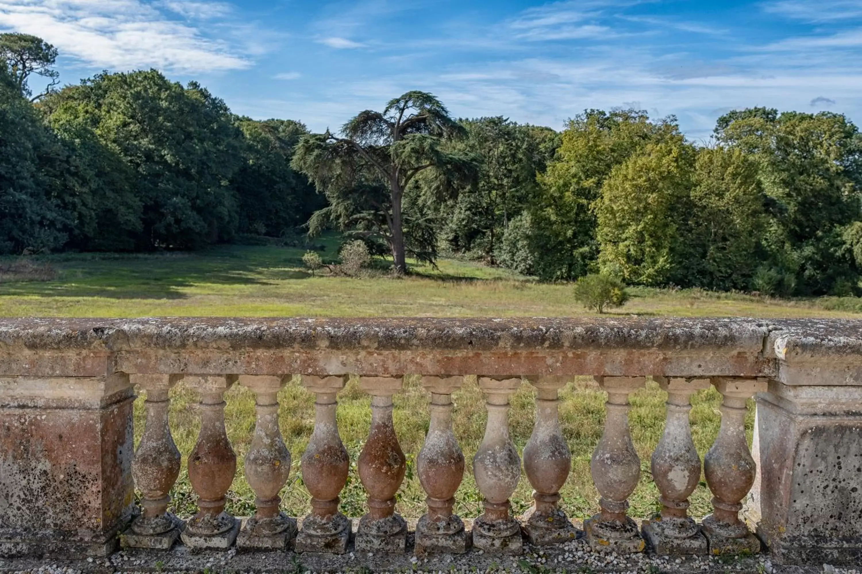 View (from property/room) in Château de Tressé