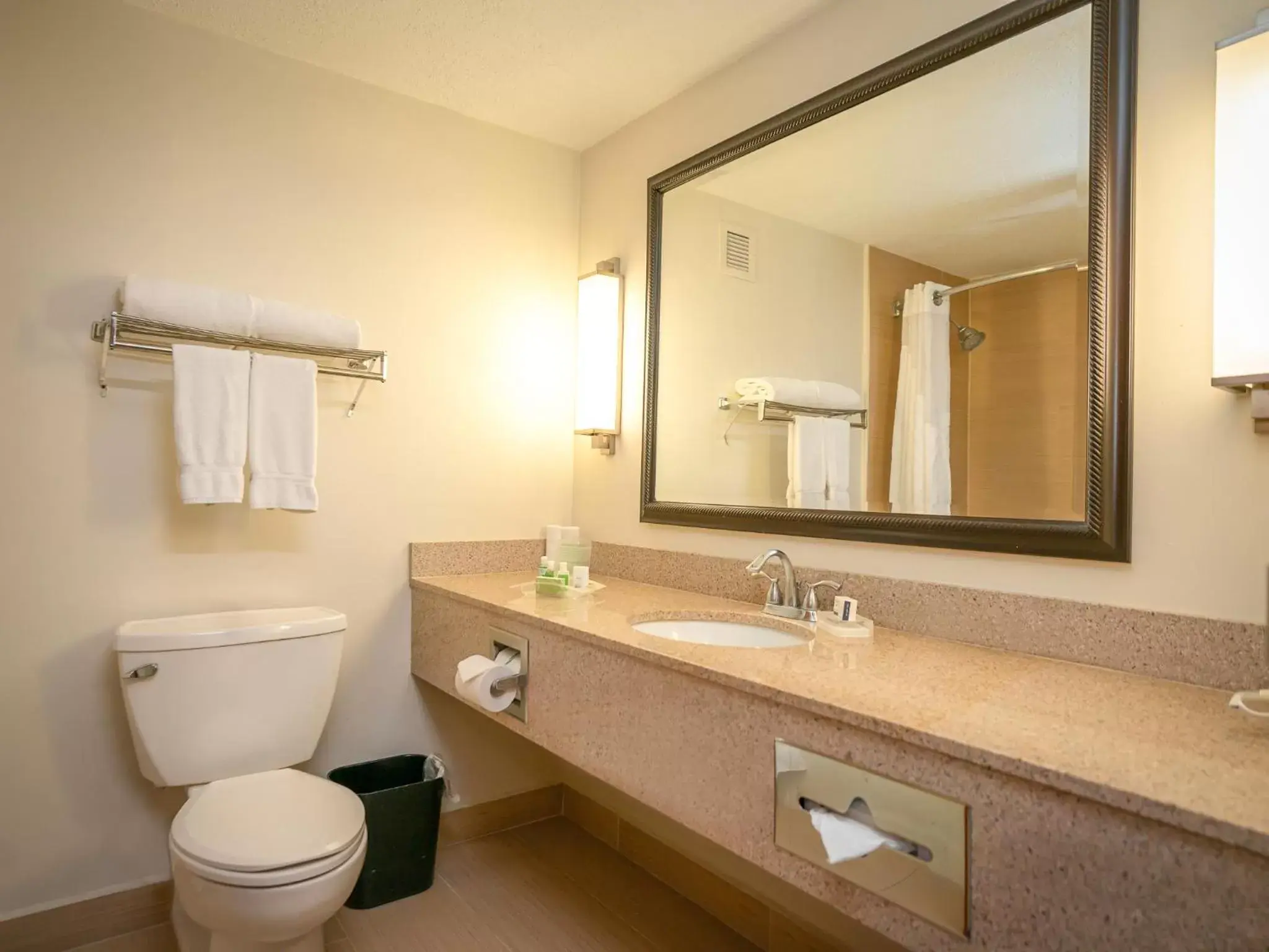 Bathroom in Holiday Inn Mayaguez & Tropical Casino, an IHG Hotel