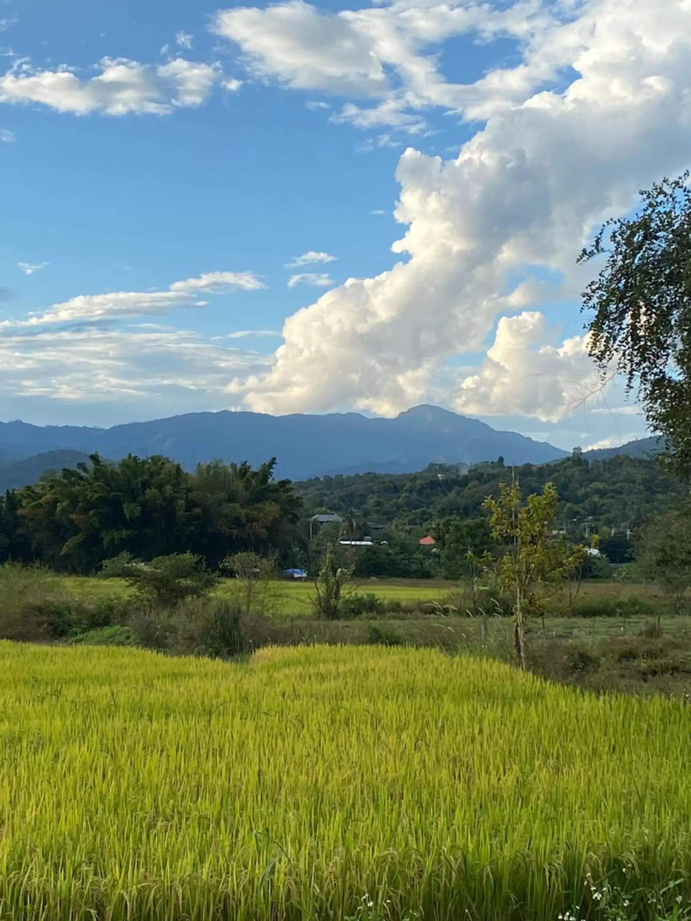 Neighbourhood, Natural Landscape in Pura Vida Pai Resort