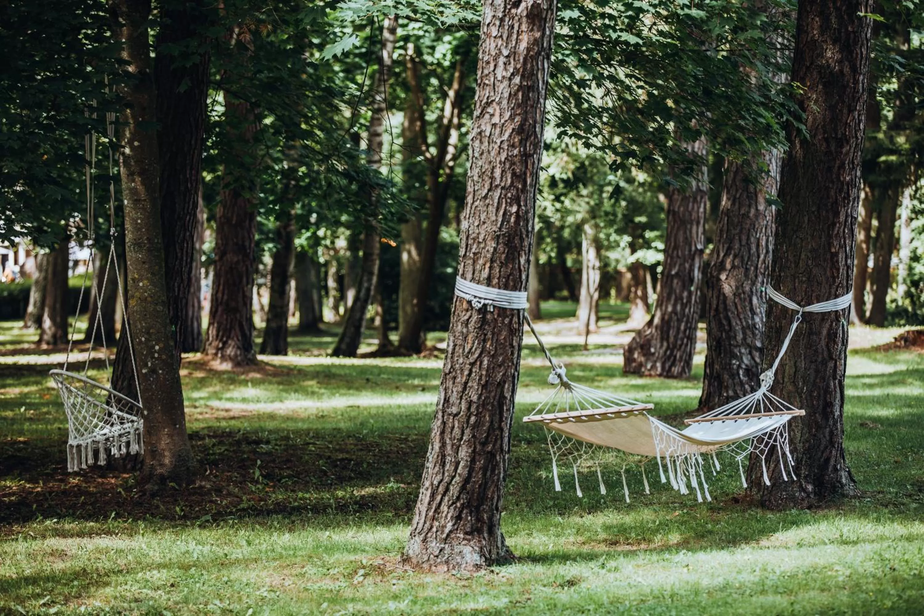 Patio in Žilvinas Hotel
