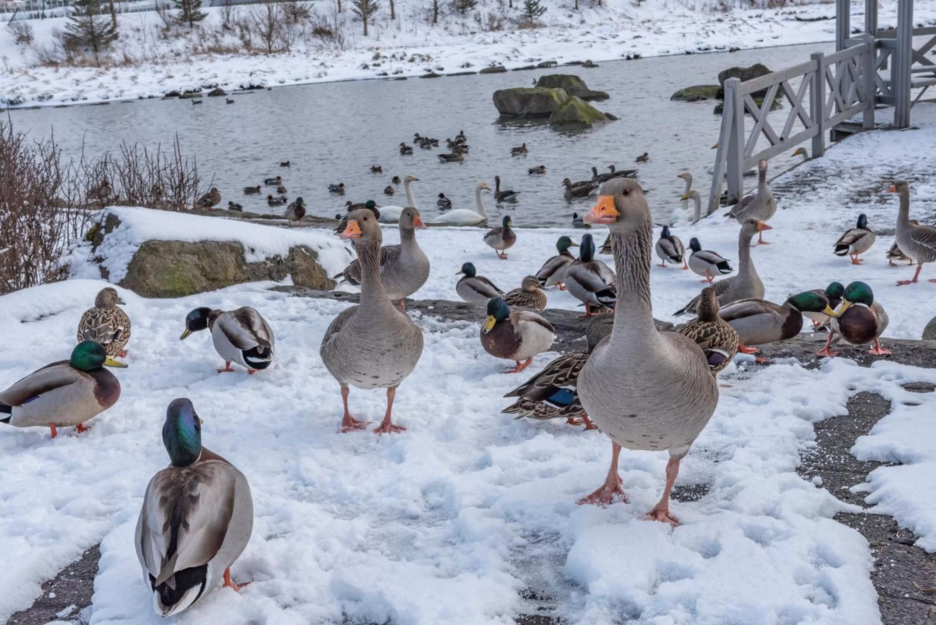 Nearby landmark in 201 Hotel