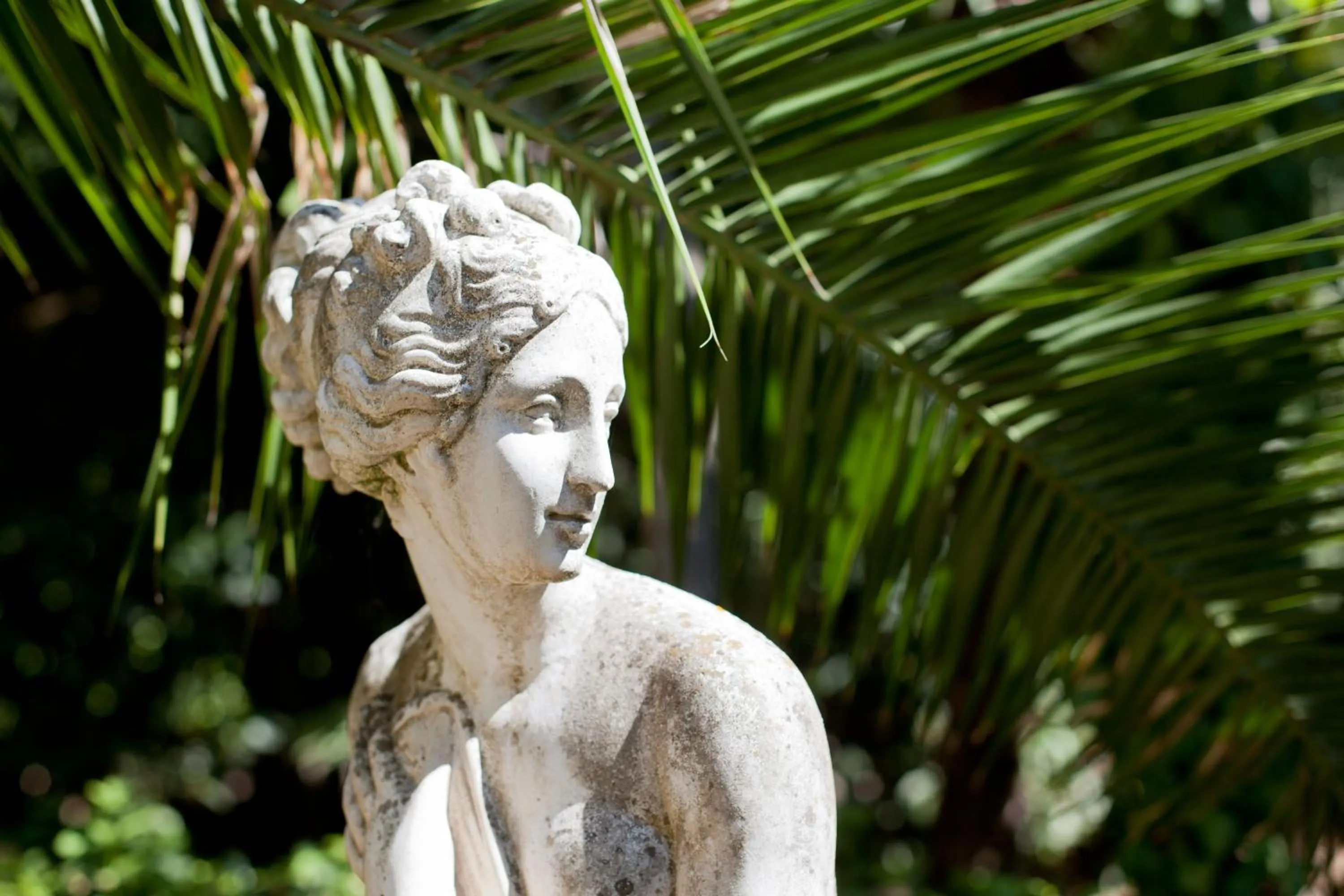 Day in Classic Hotel