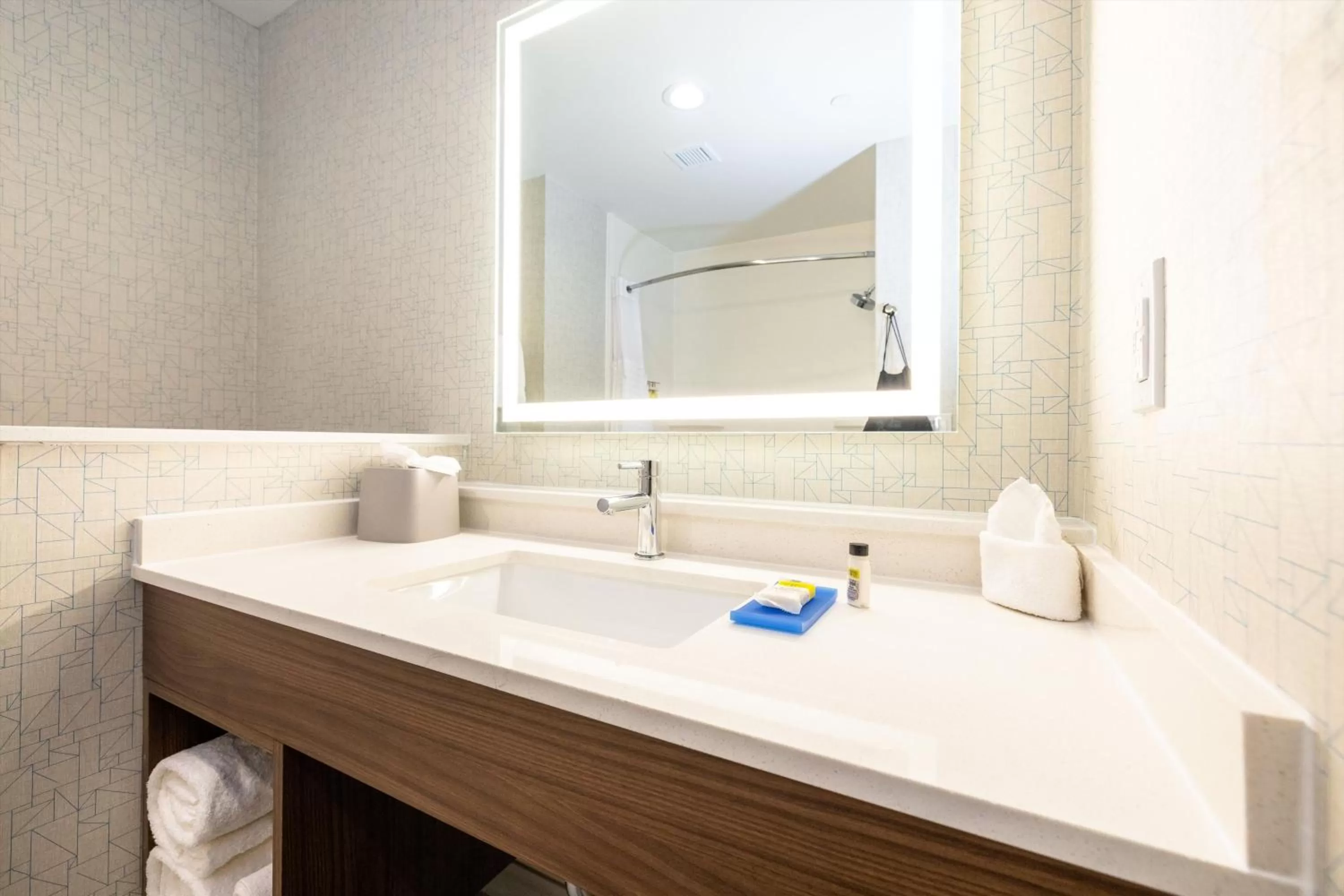 Bathroom in Holiday Inn Express & Suites - San Jose Silicon Valley by IHG