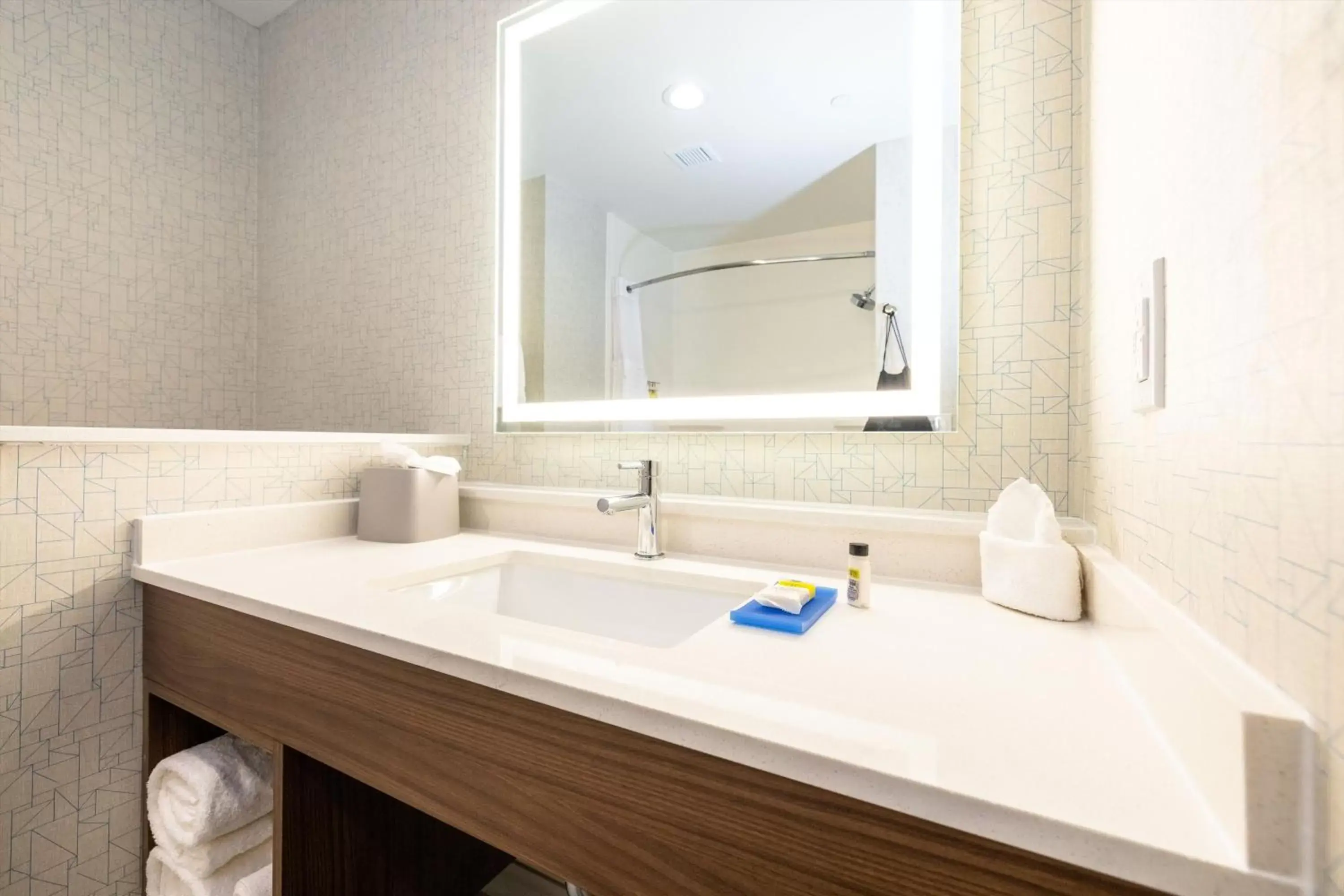 Bathroom in Holiday Inn Express & Suites - San Jose Silicon Valley, an IHG Hotel