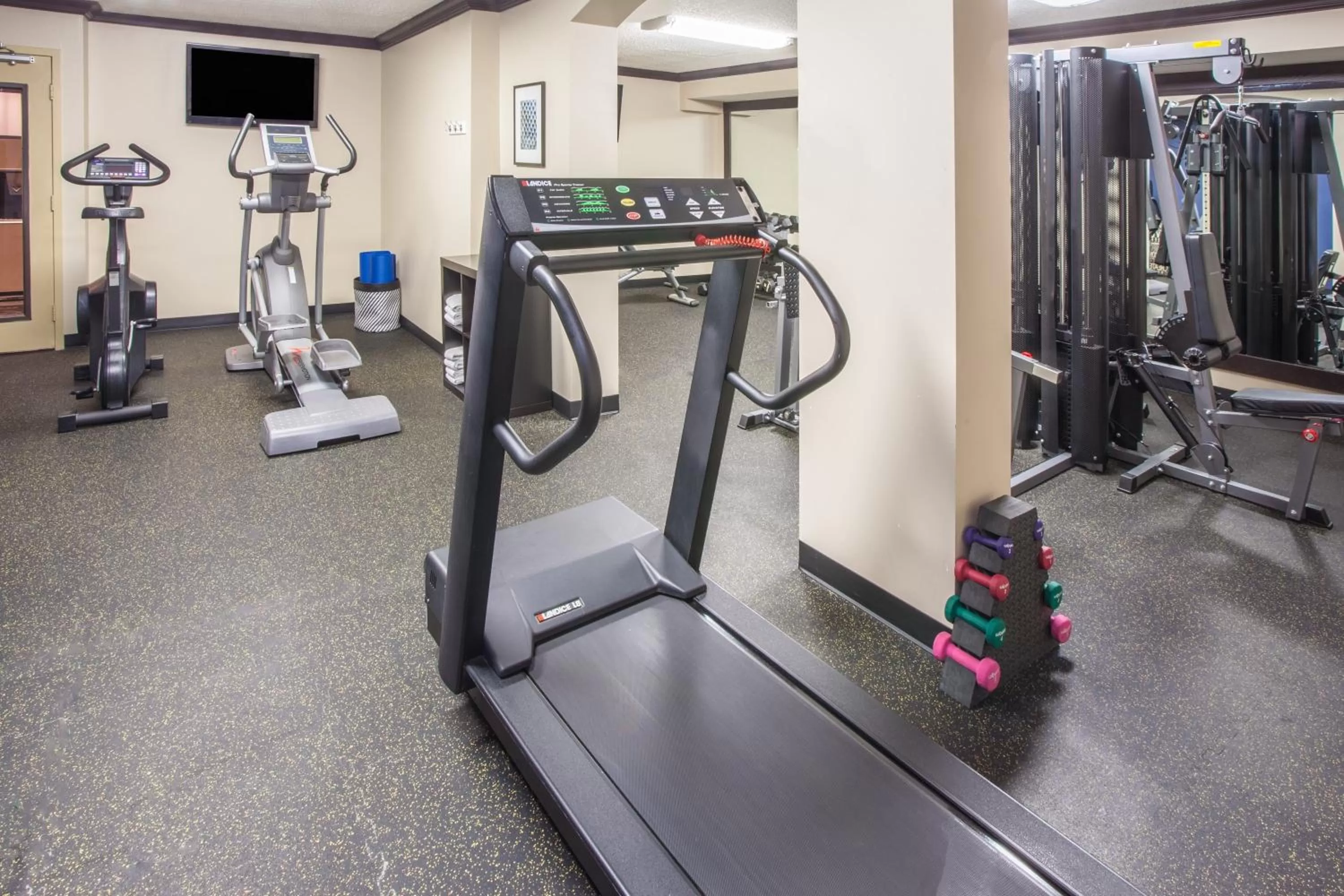 Fitness centre/facilities in Wyndham Garden Schaumburg Chicago Northwest