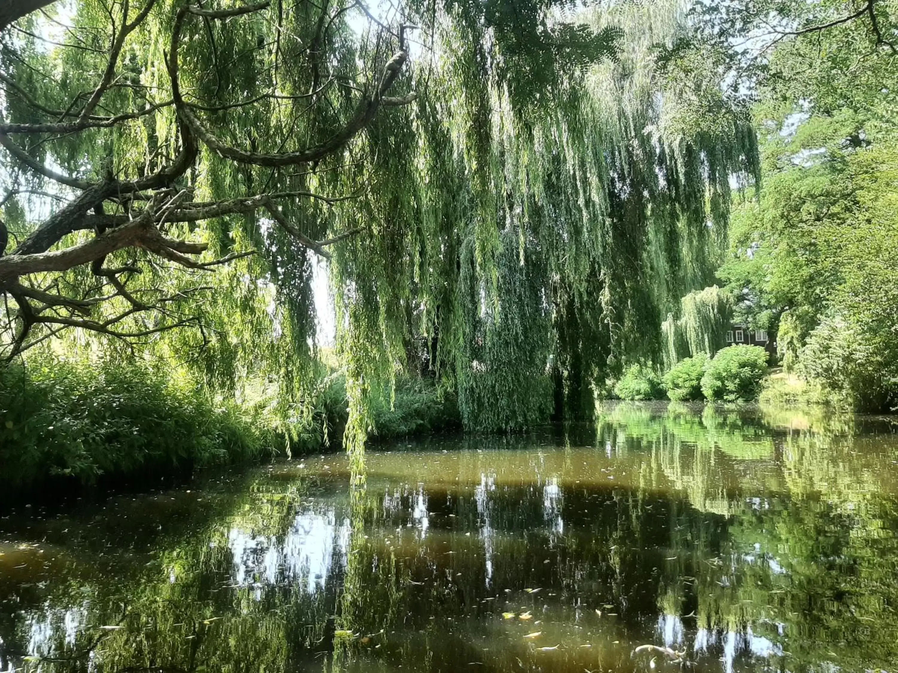 Natural Landscape in Bed and Breakfast Hans en Gridje