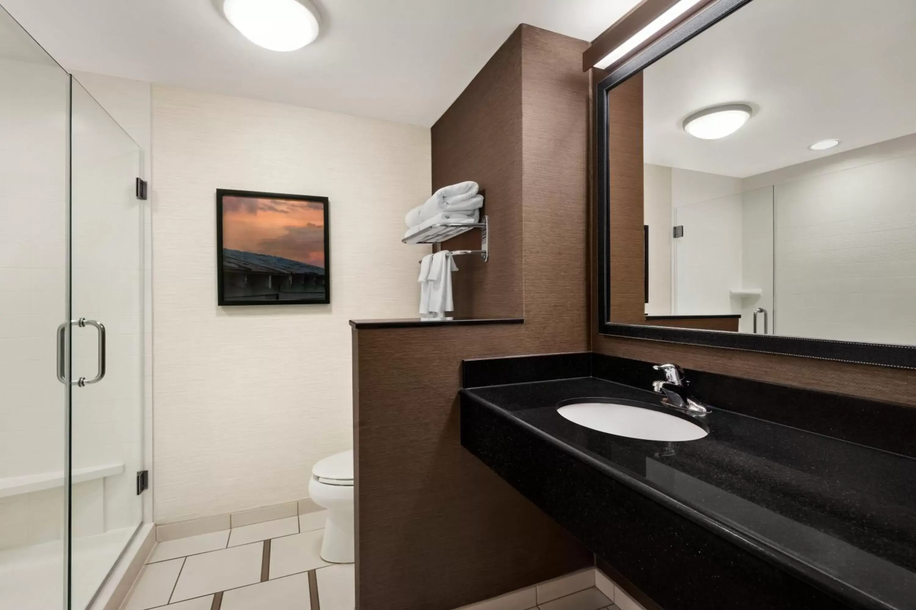 Bathroom in Fairfield Inn & Suites by Marriott Hershey Chocolate Avenue