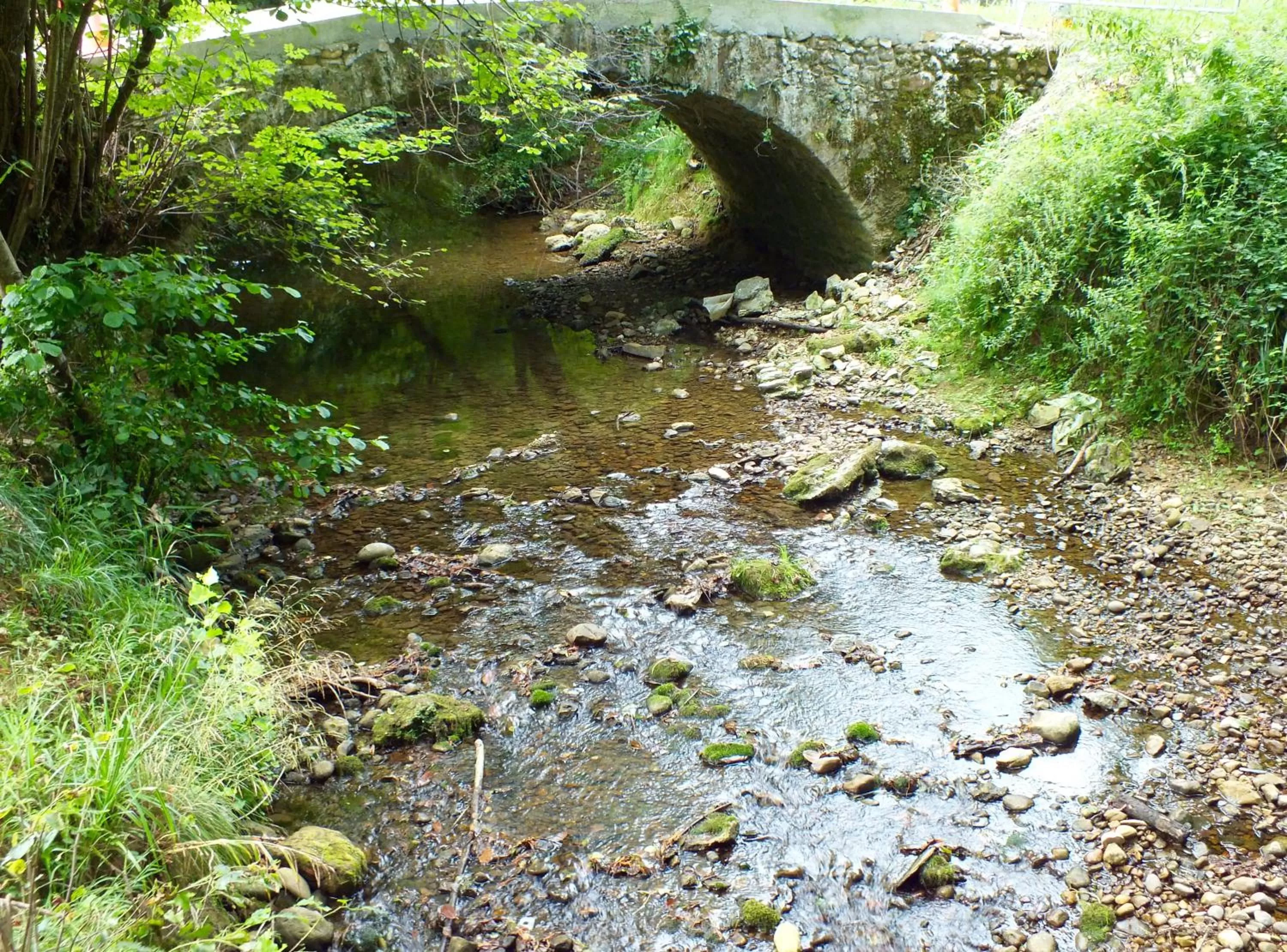 River view, Other Animals in B&B Au Moulin 1771
