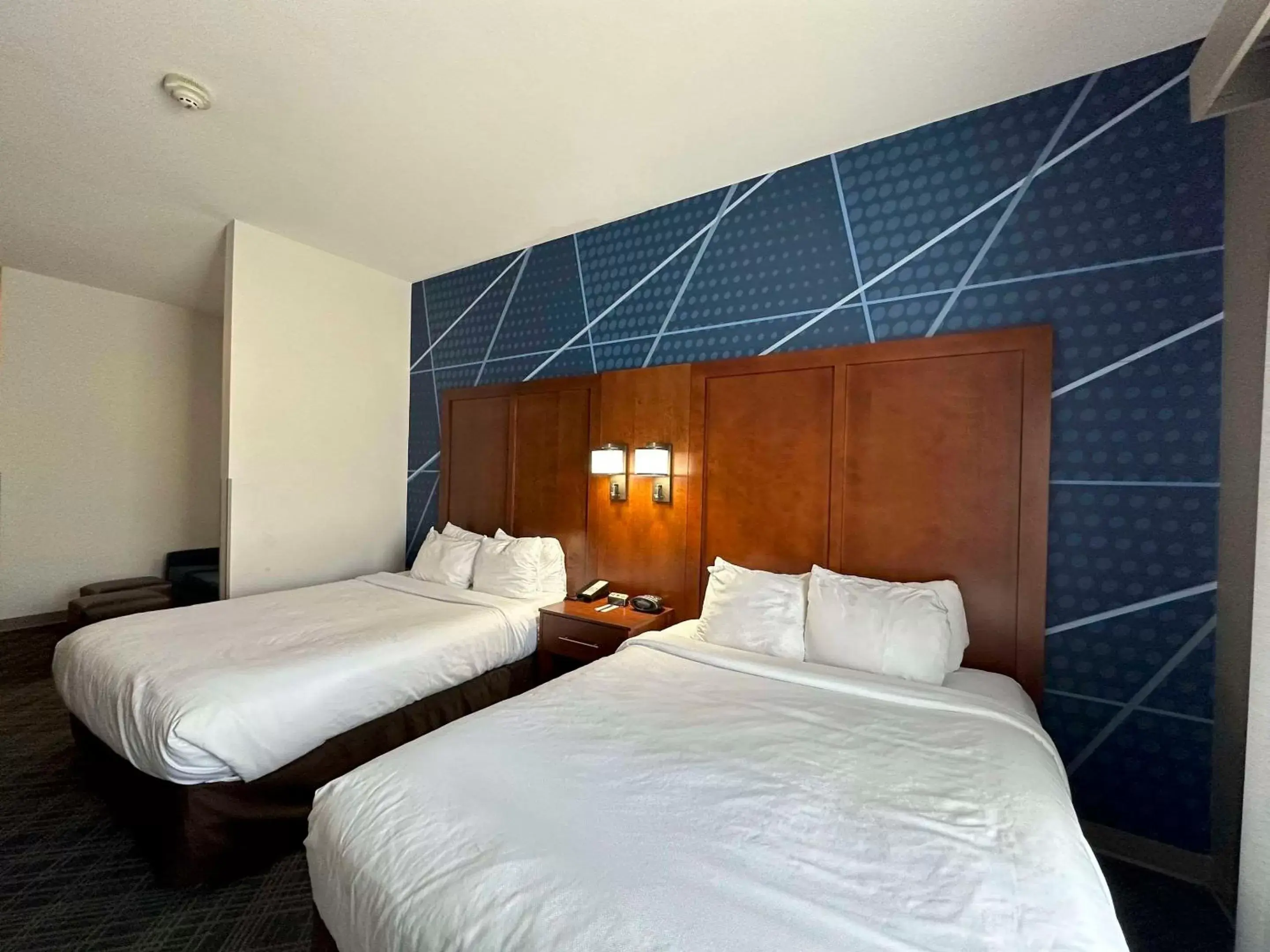 Bedroom, Bed in Comfort Suites Jackson - Cape Girardeau