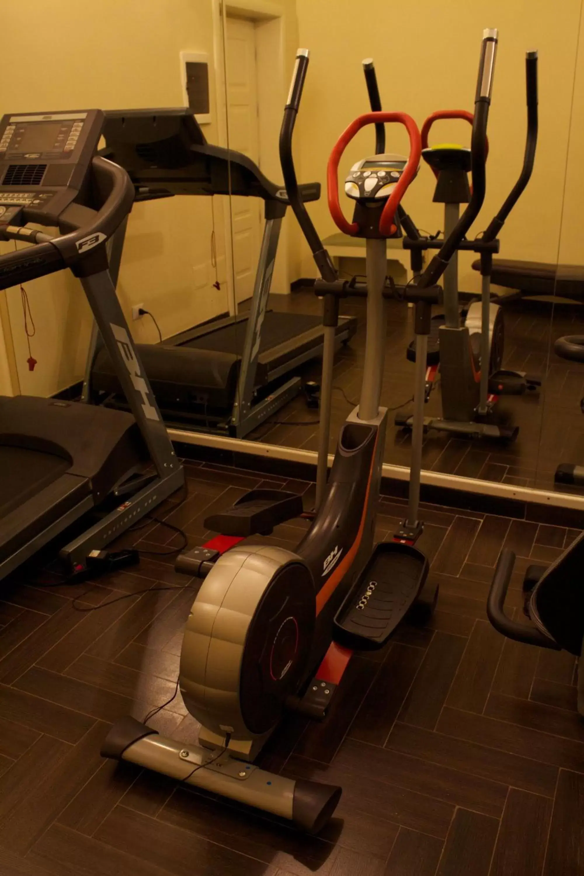 Fitness centre/facilities, Fitness Center/Facilities in Hotel Ambasciatori