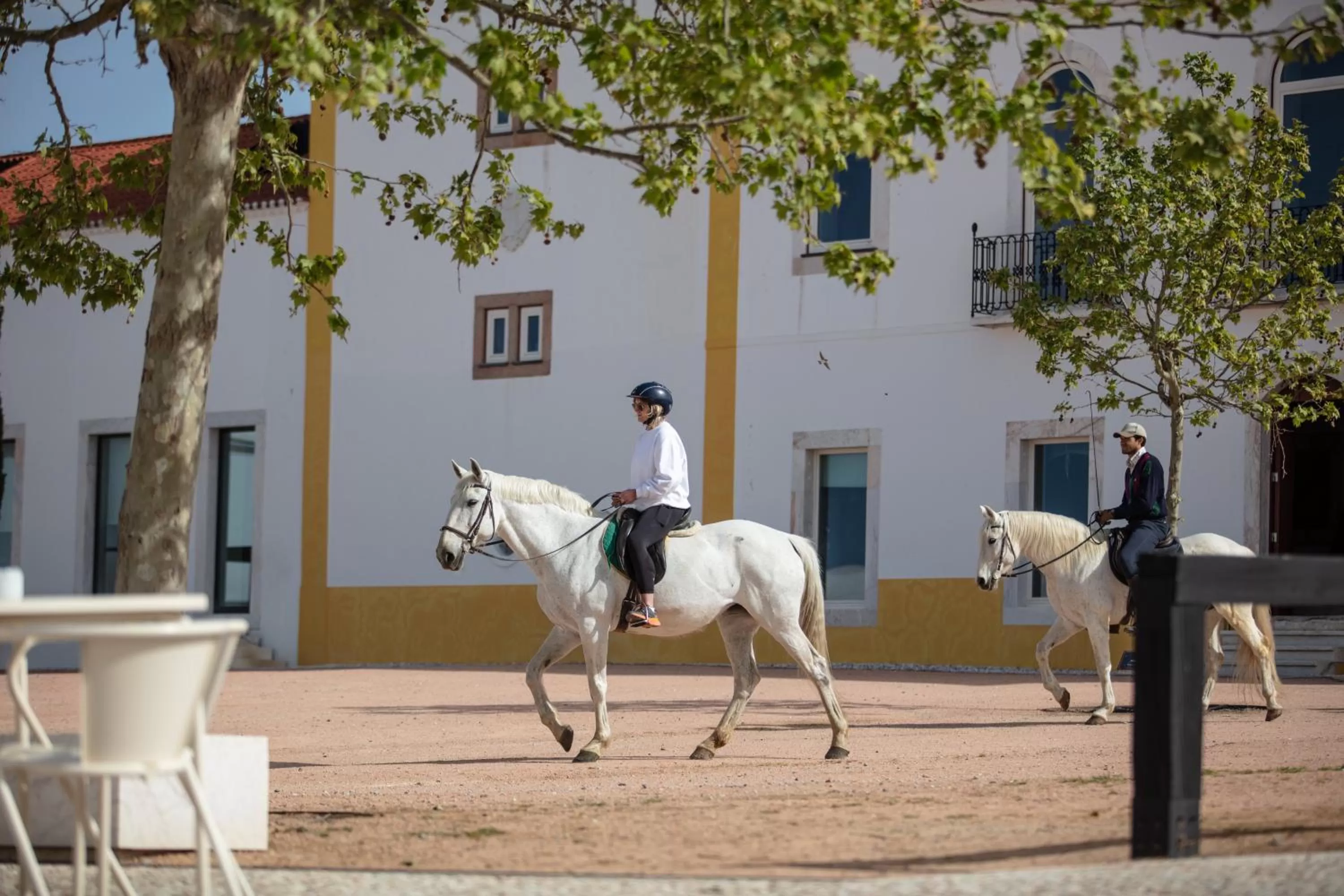 Horse-riding in Torre de Palma Wine Hotel, Monforte, a Member of Design Hotels