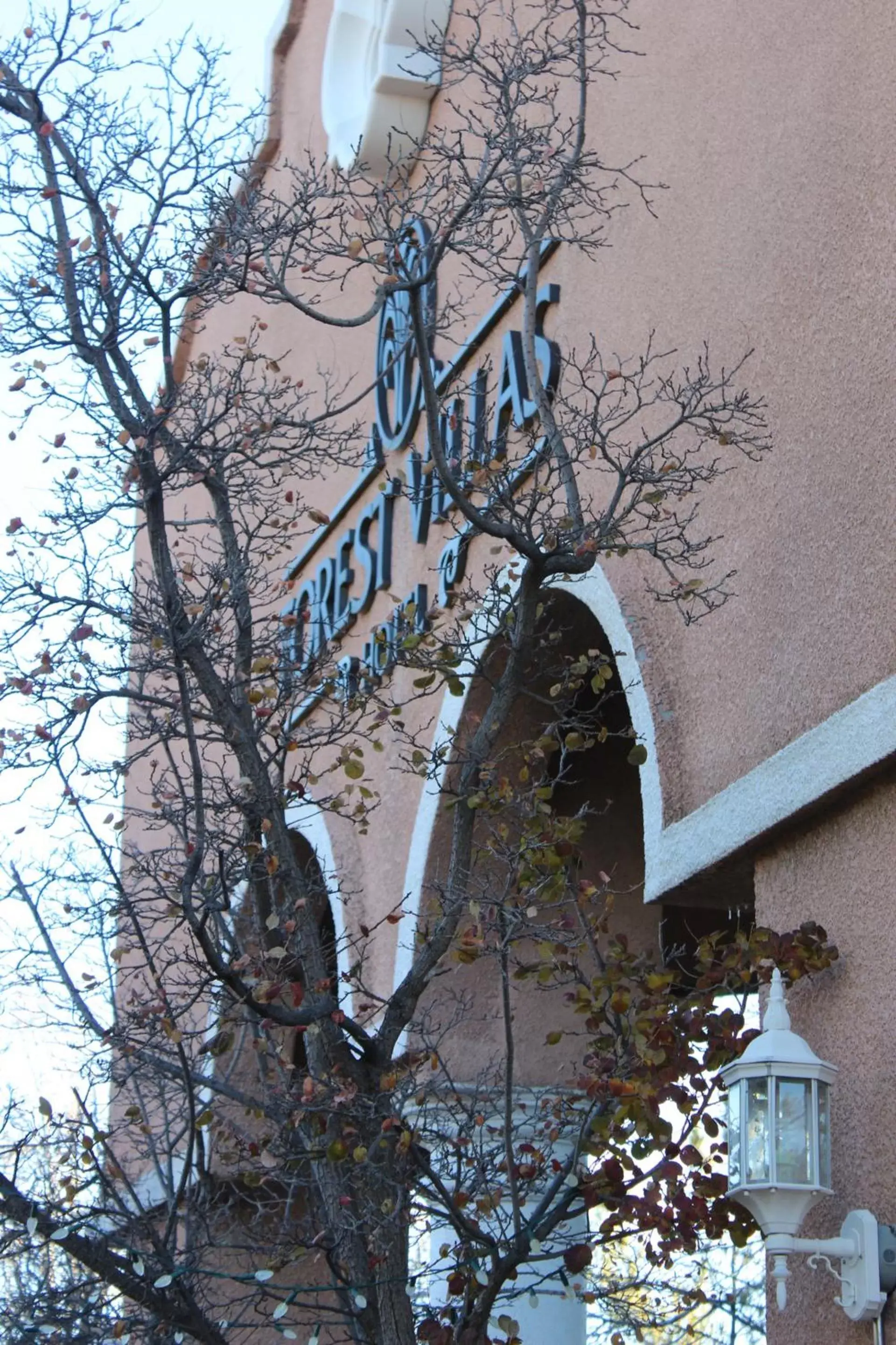 Facade/entrance, Winter in Forest Villas Hotel