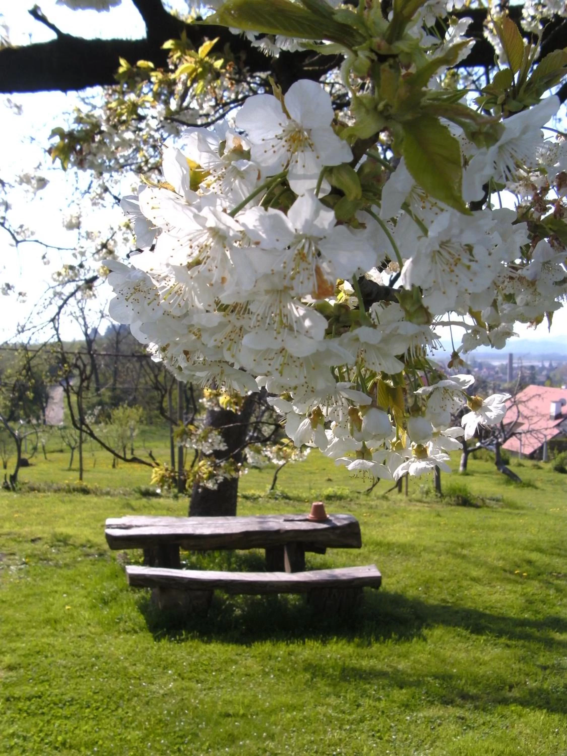 Natural landscape in Panorama B&B