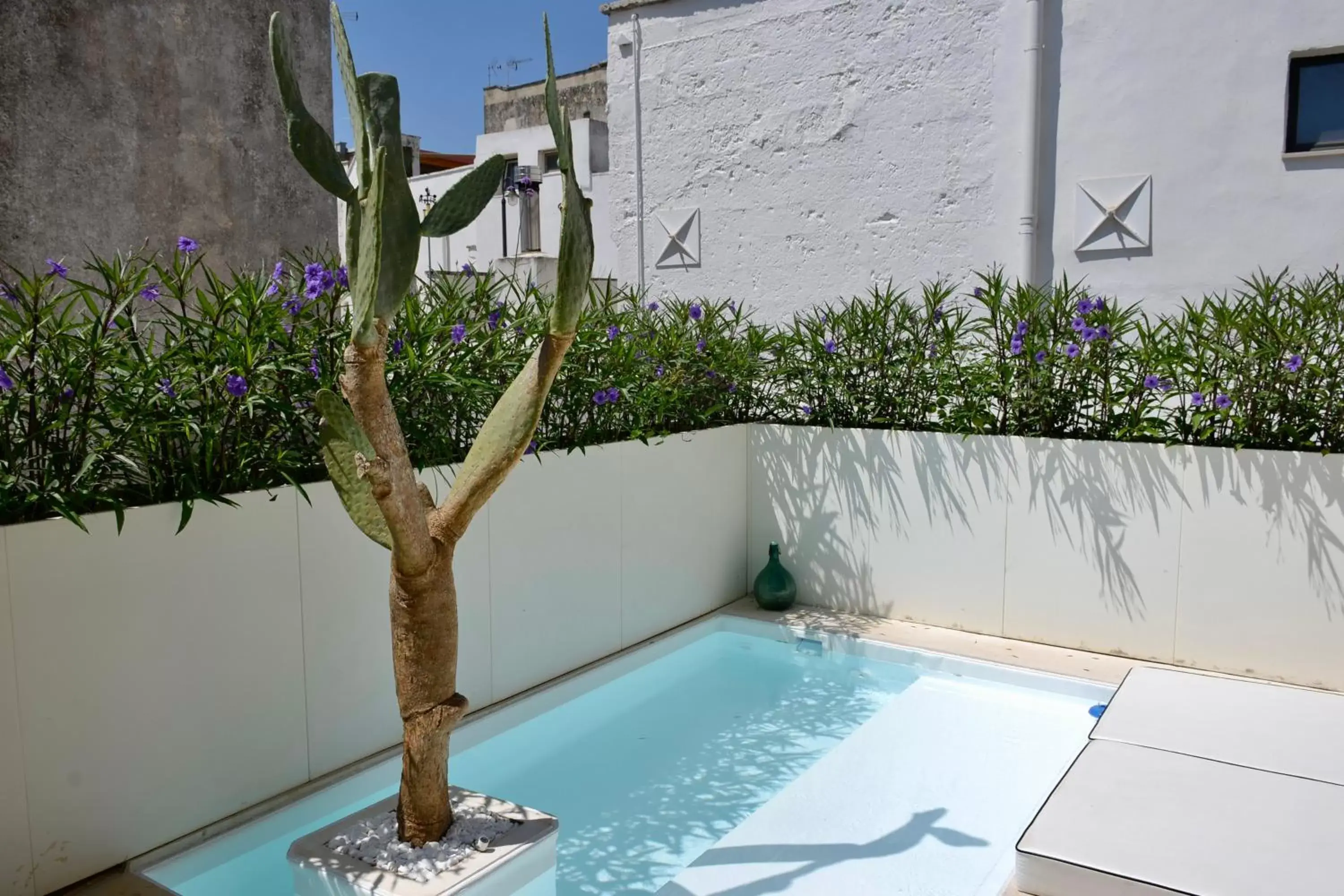 Open Air Bath, Swimming Pool in Corte Manfredi