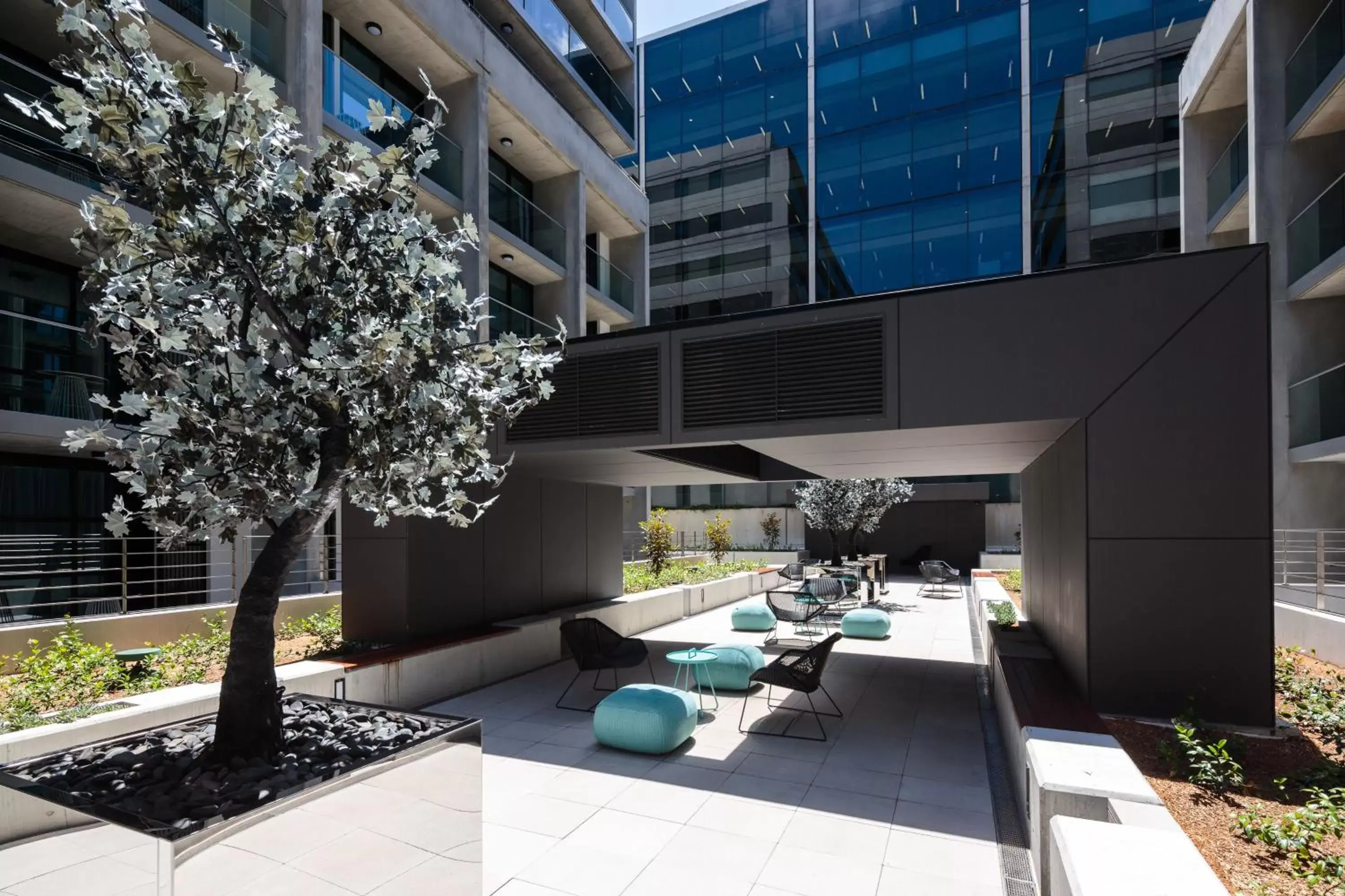 Garden in Avenue Hotel Canberra