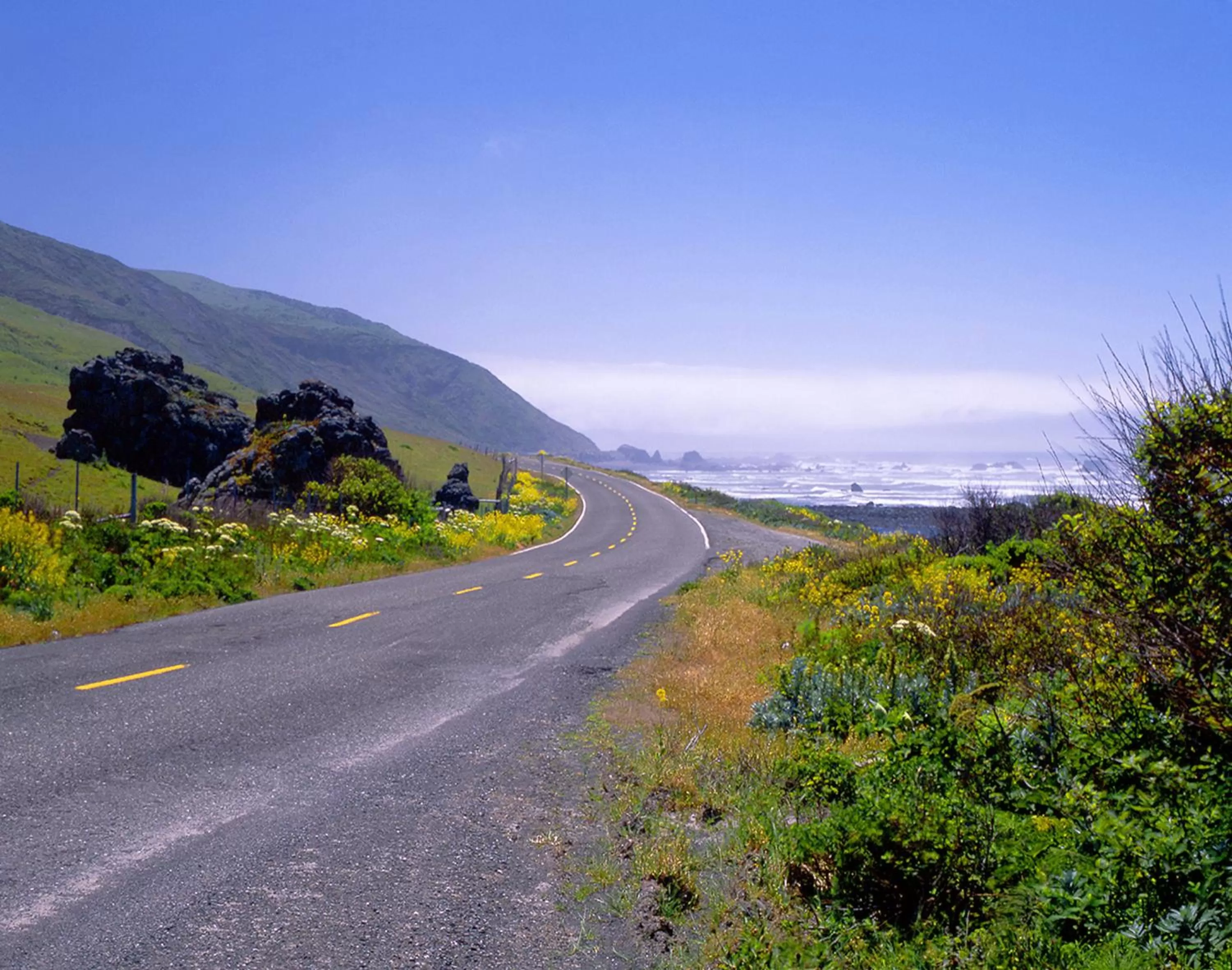 Natural landscape in Redwood Suites