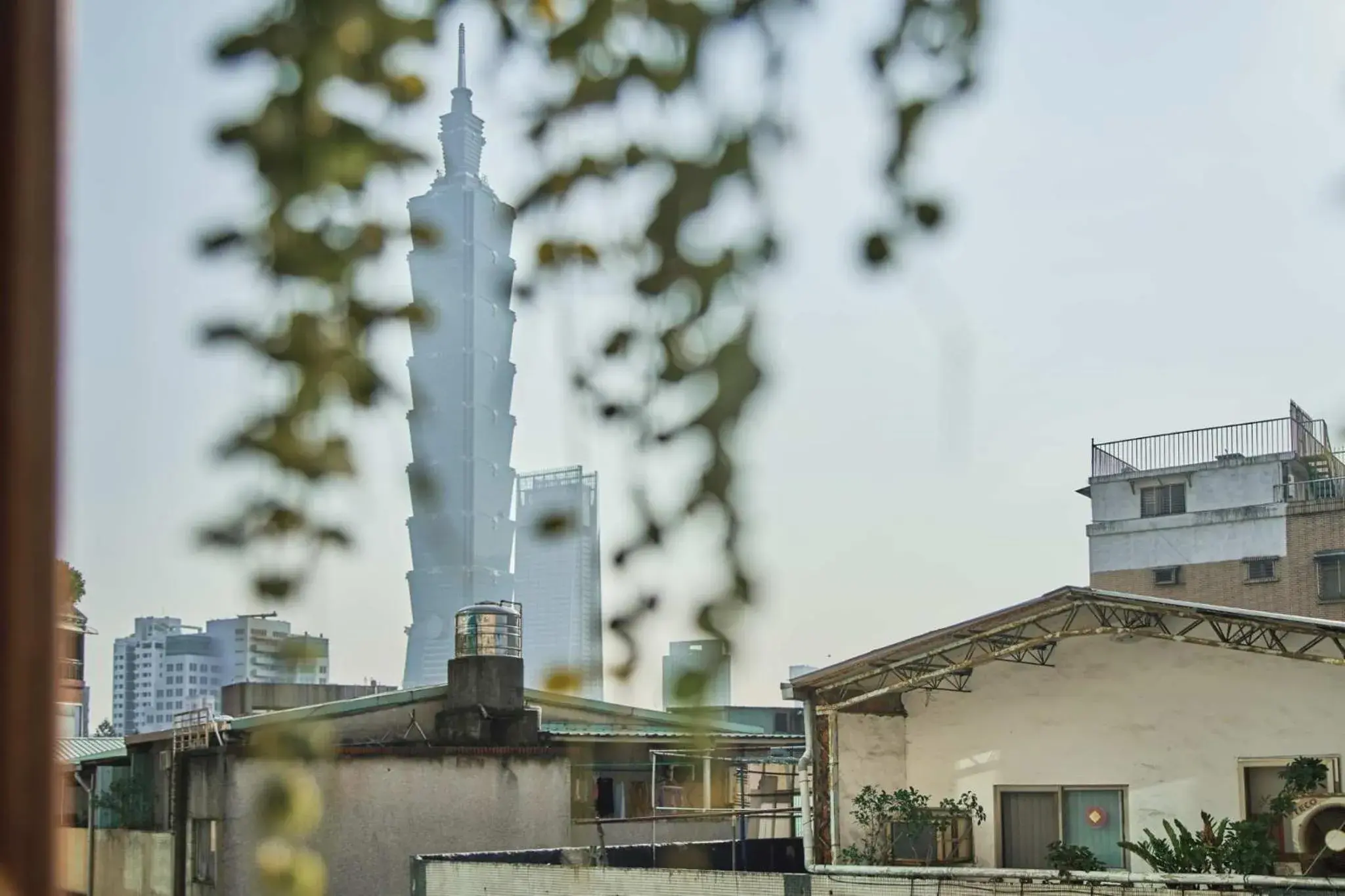 Neighbourhood, Property Building in Formosa 101 Hostel