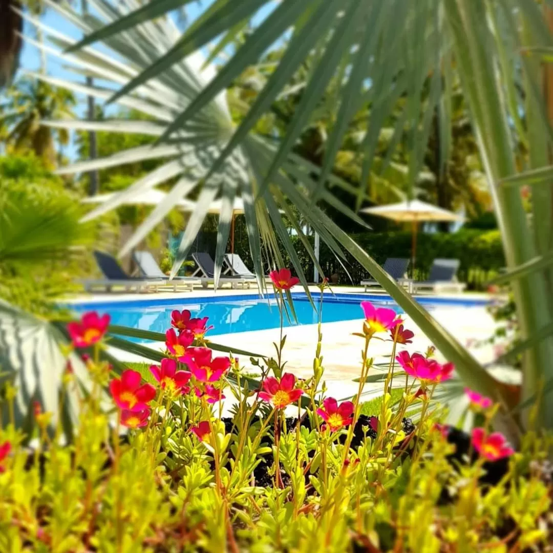 Pool view in Pousada Villages Boutique Hotel - 150m da Praia da Laje