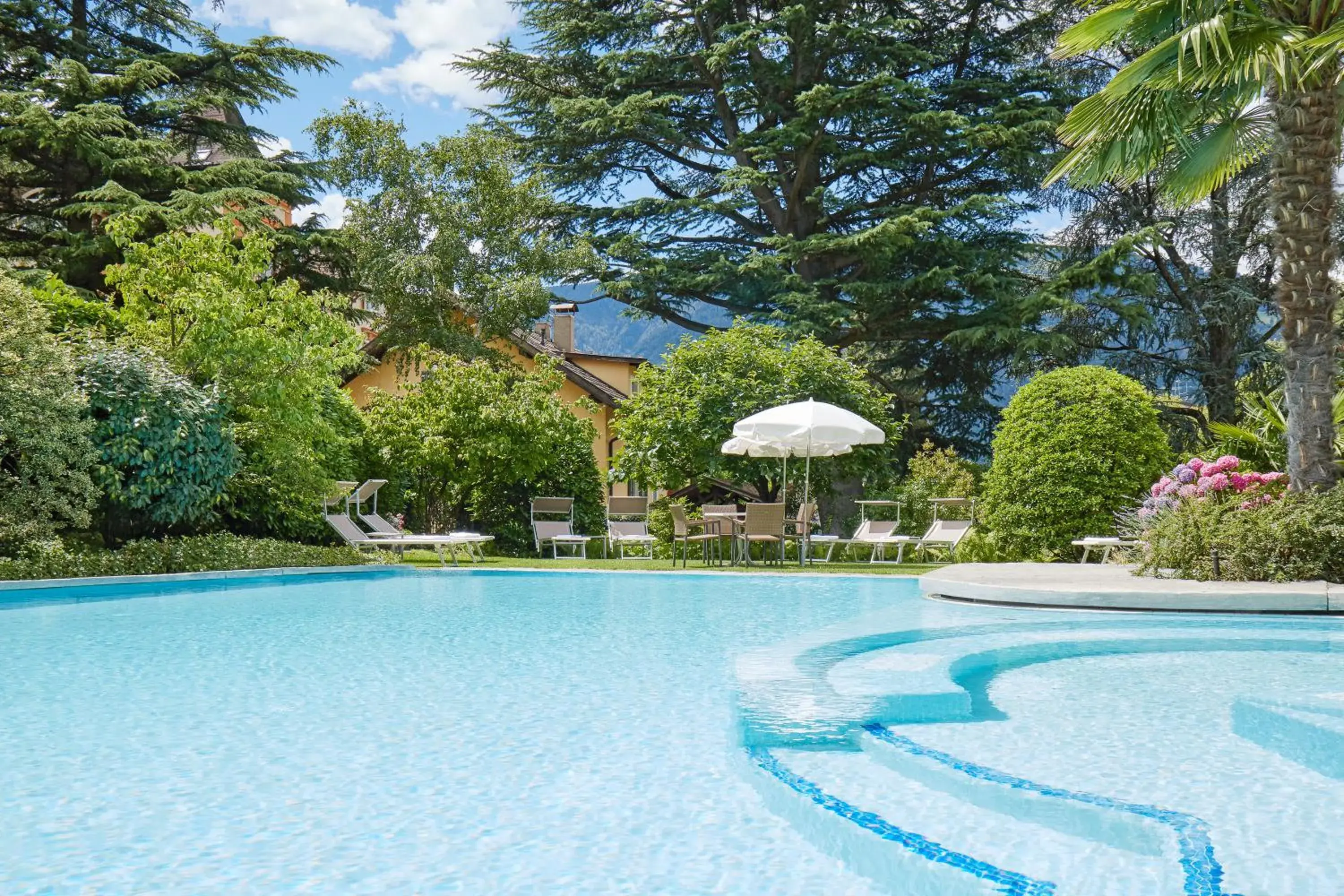 Garden, Swimming Pool in Hotel Sonnenhof