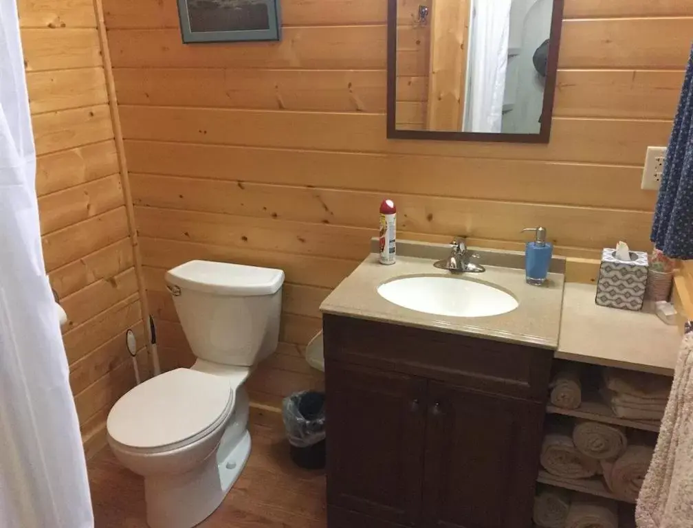 Bathroom in Talkeetna Lakeside Cabins