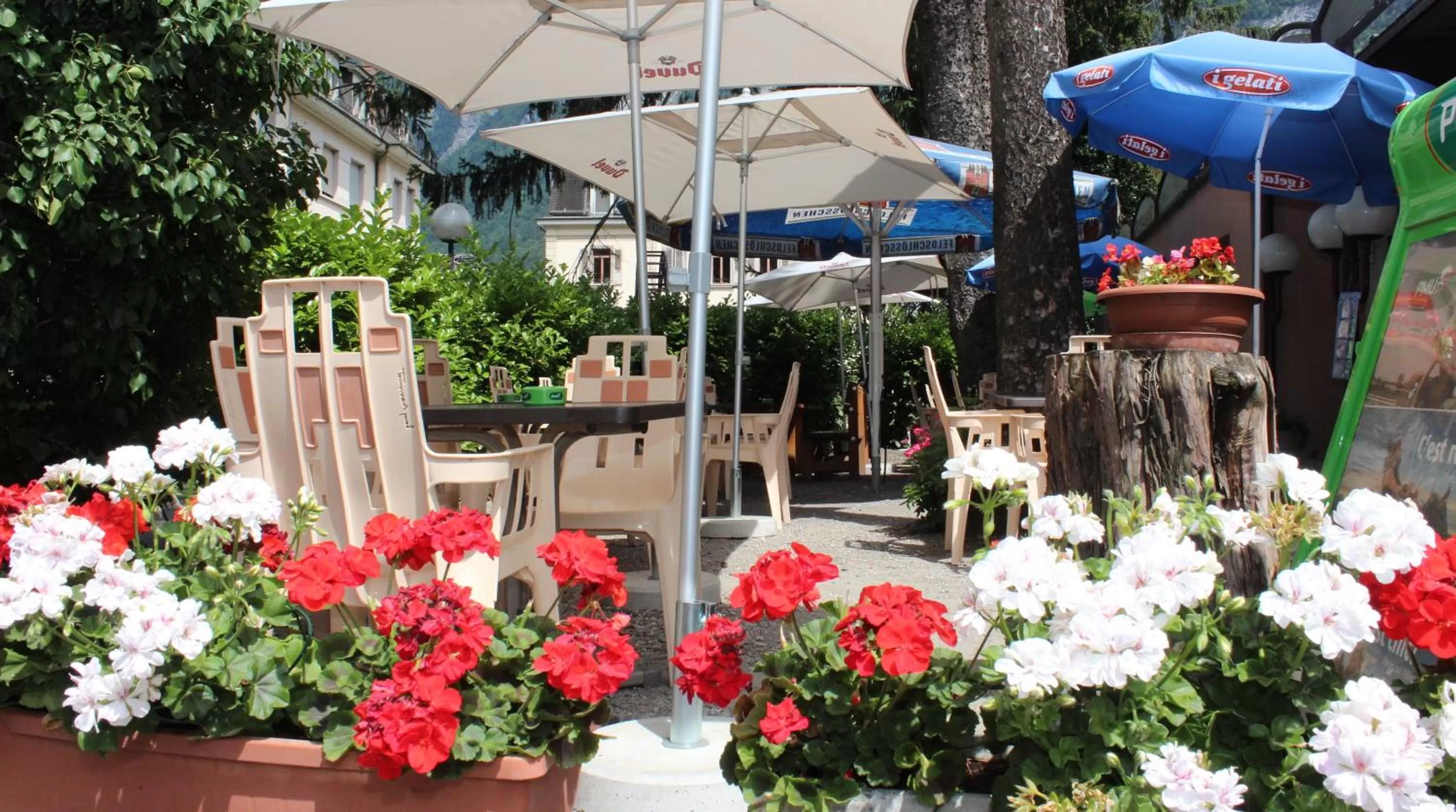 Patio in La Dent-du-Midi Hôtel & Restaurant