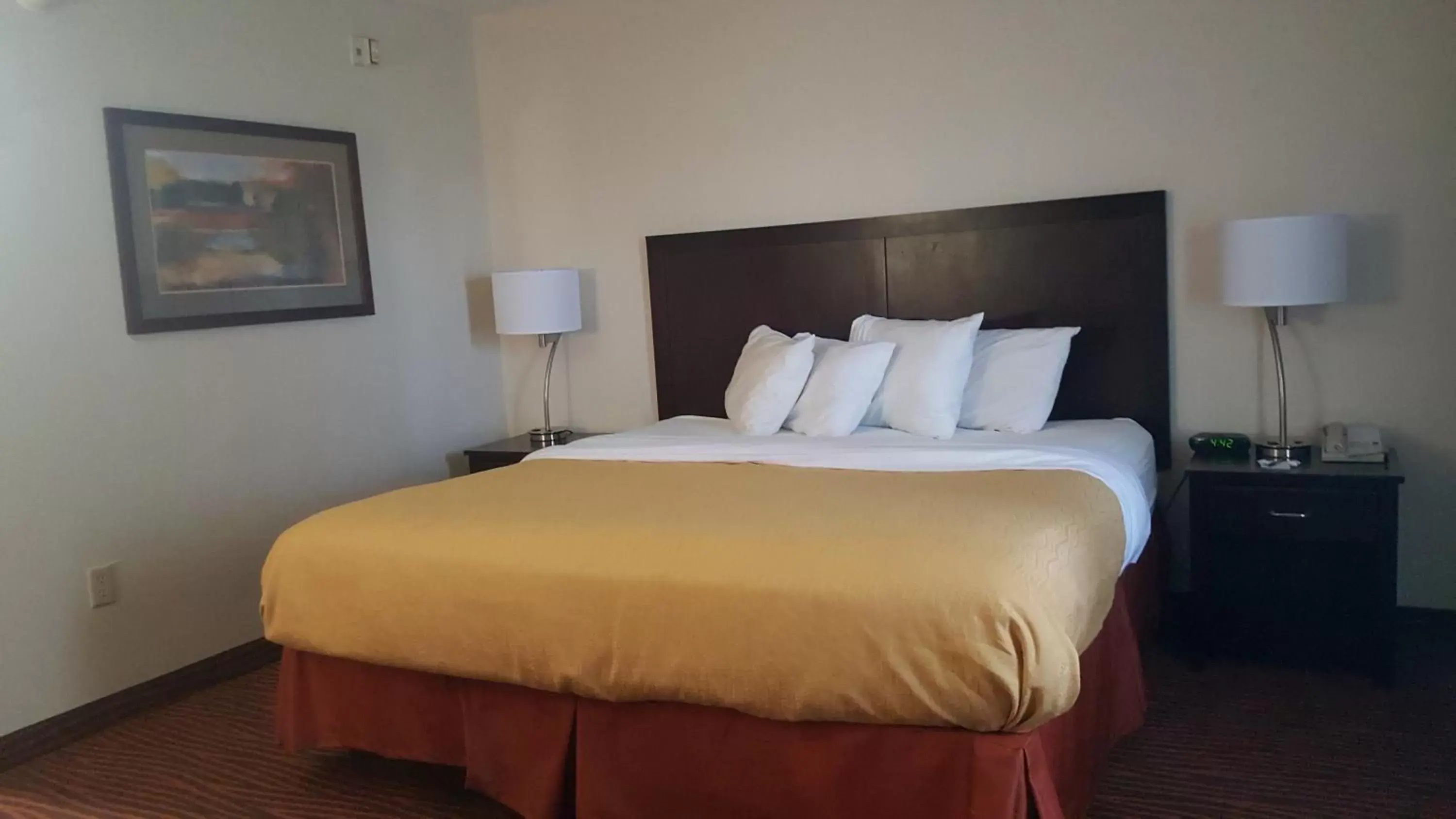 Bed in AmericInn by Wyndham Muscatine