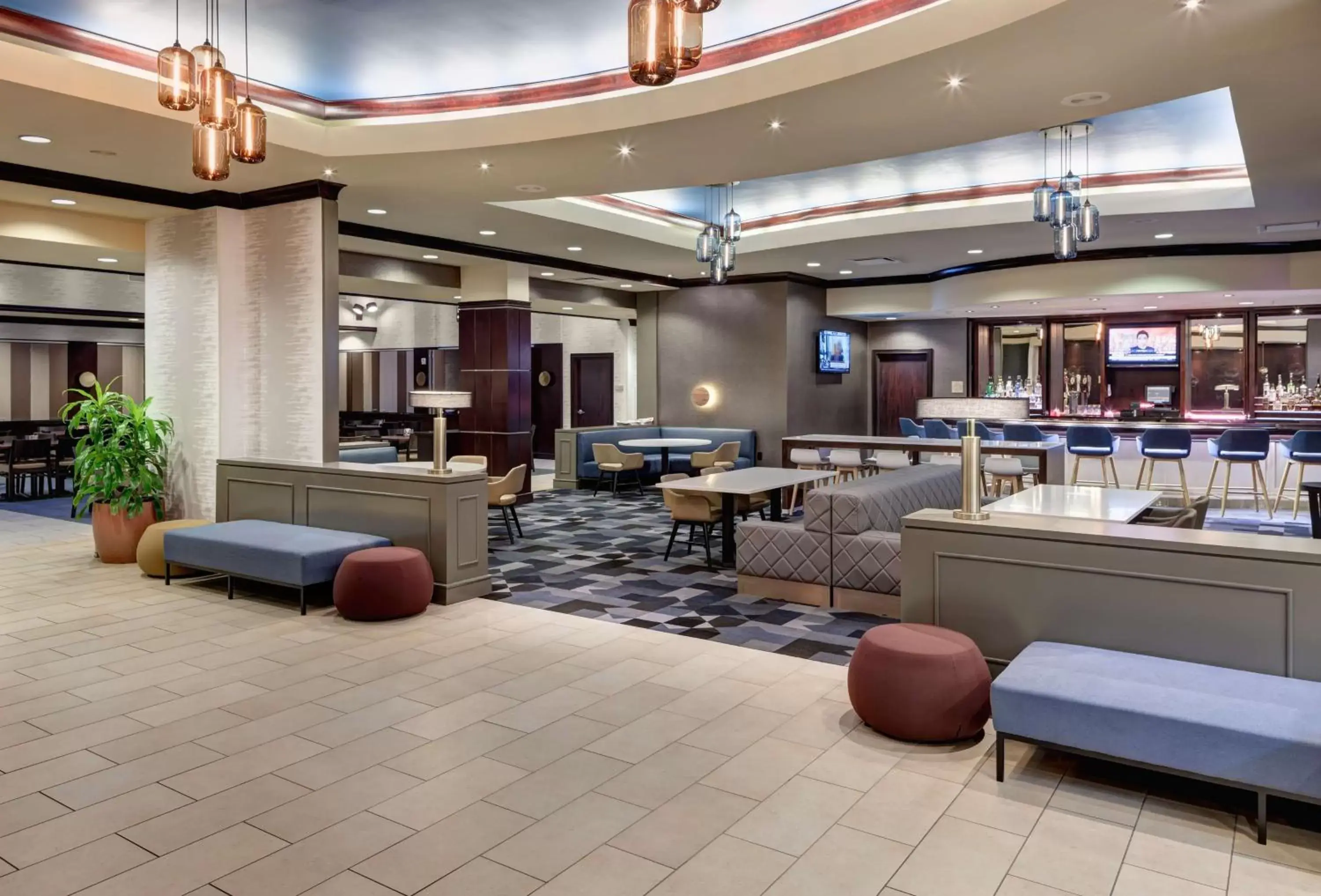 Lounge or bar, Restaurant/Places to Eat in Embassy Suites by Hilton Tampa Brandon