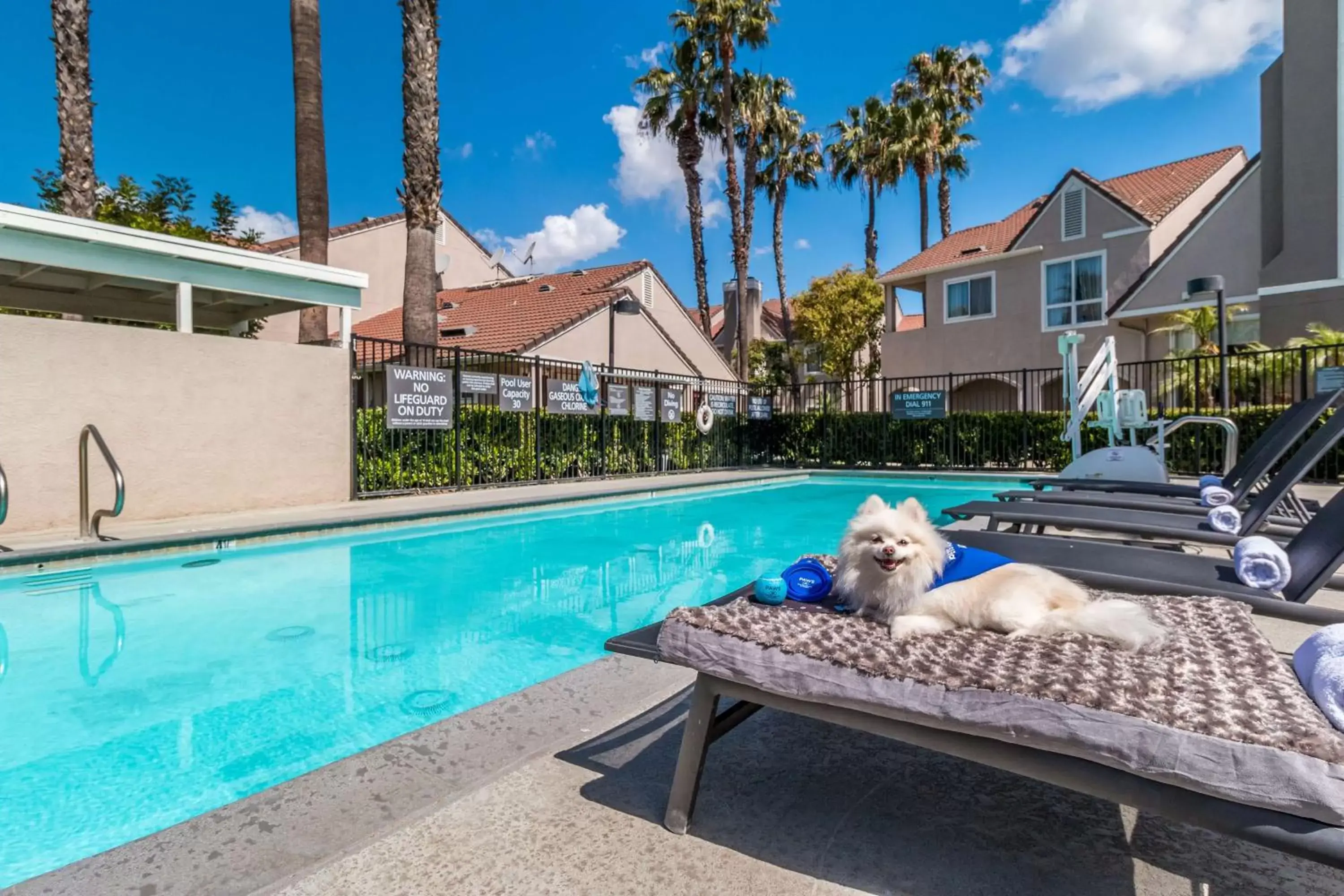 Pool view, Swimming Pool in Sonesta ES Suites Huntington Beach Fountain Valley