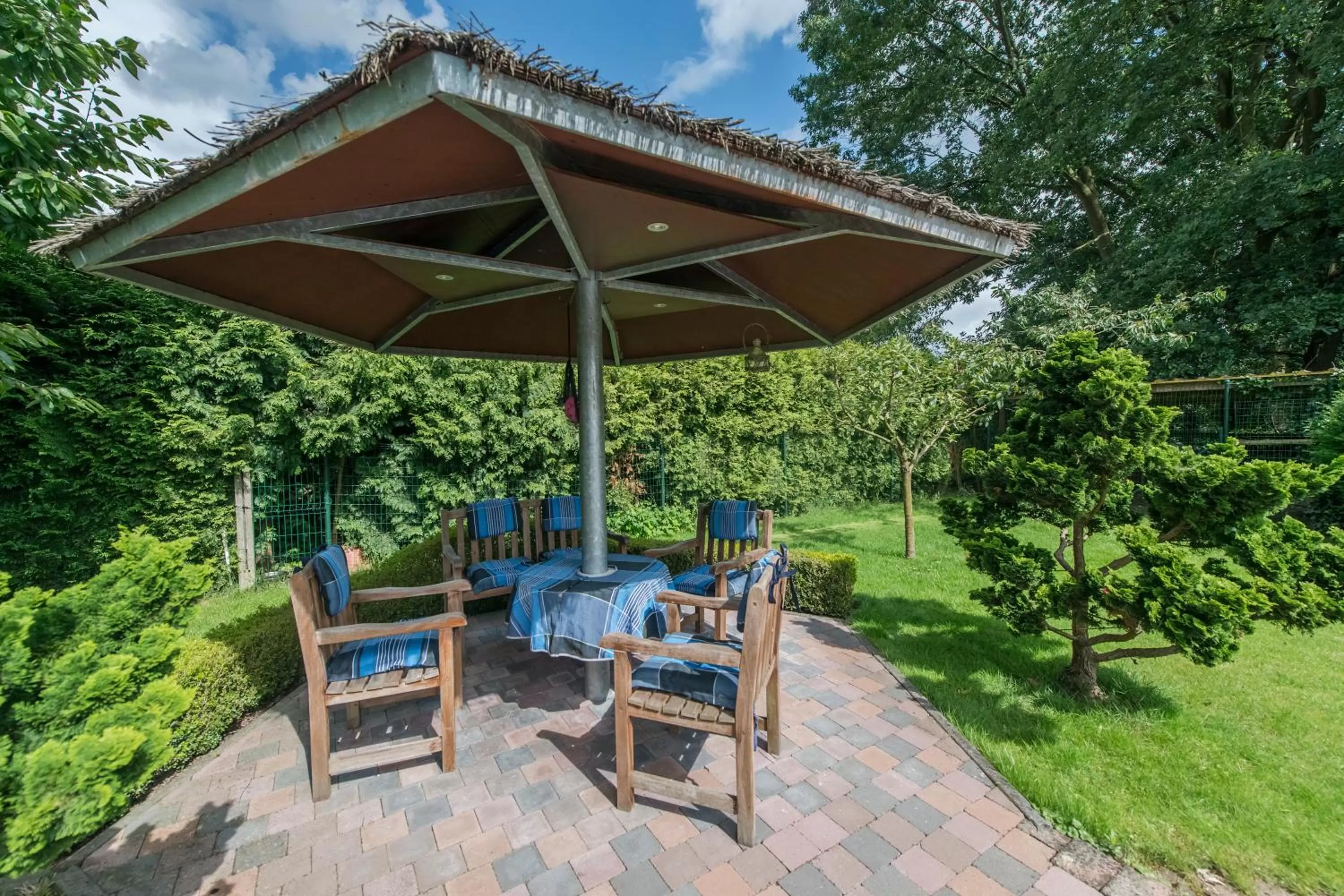 Garden in B&B Casa Roman & Vakantiewoning voor 1 pers tot max 32 personen