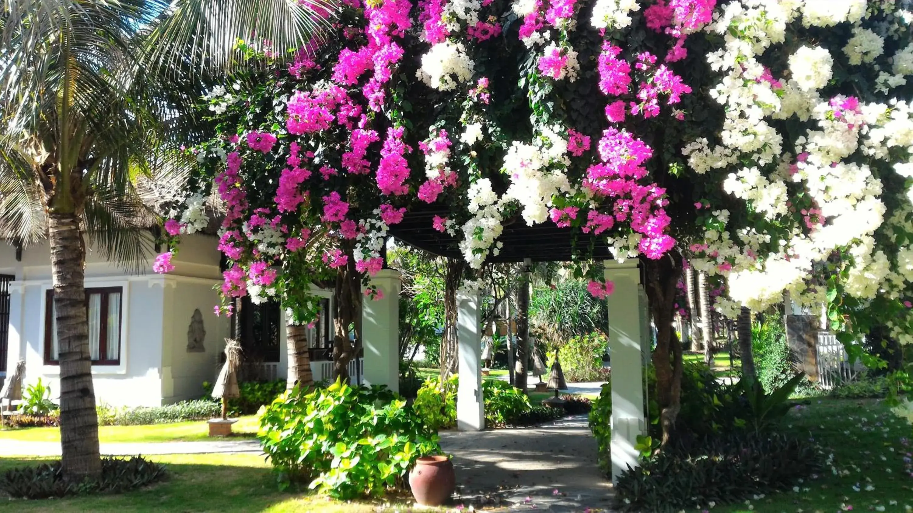 Garden view, Property Building in Muine Bay Resort