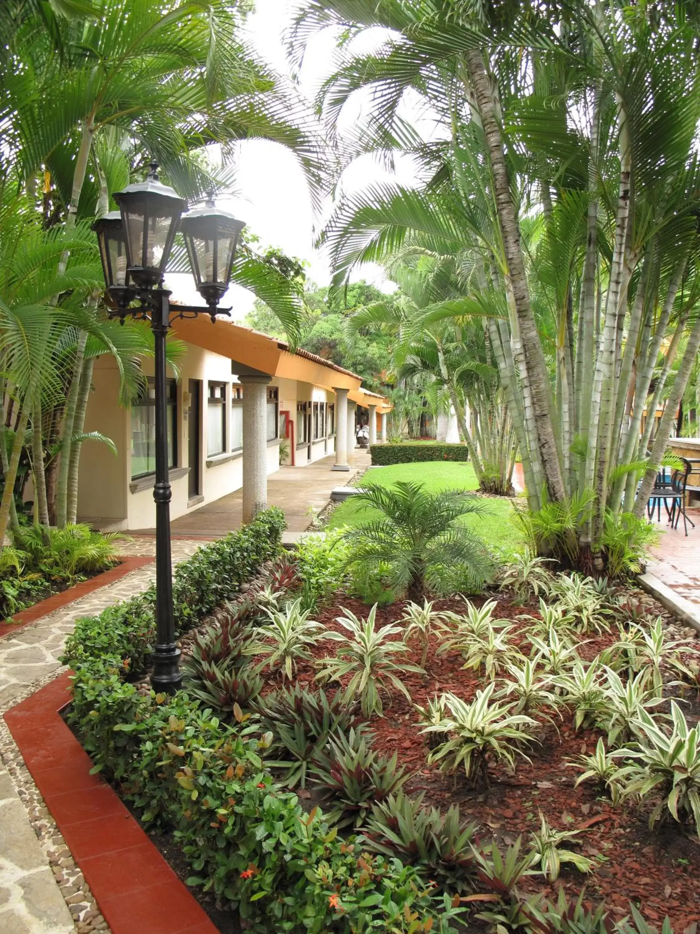 Garden, Property Building in Palmareca Inn-Suites-Studio