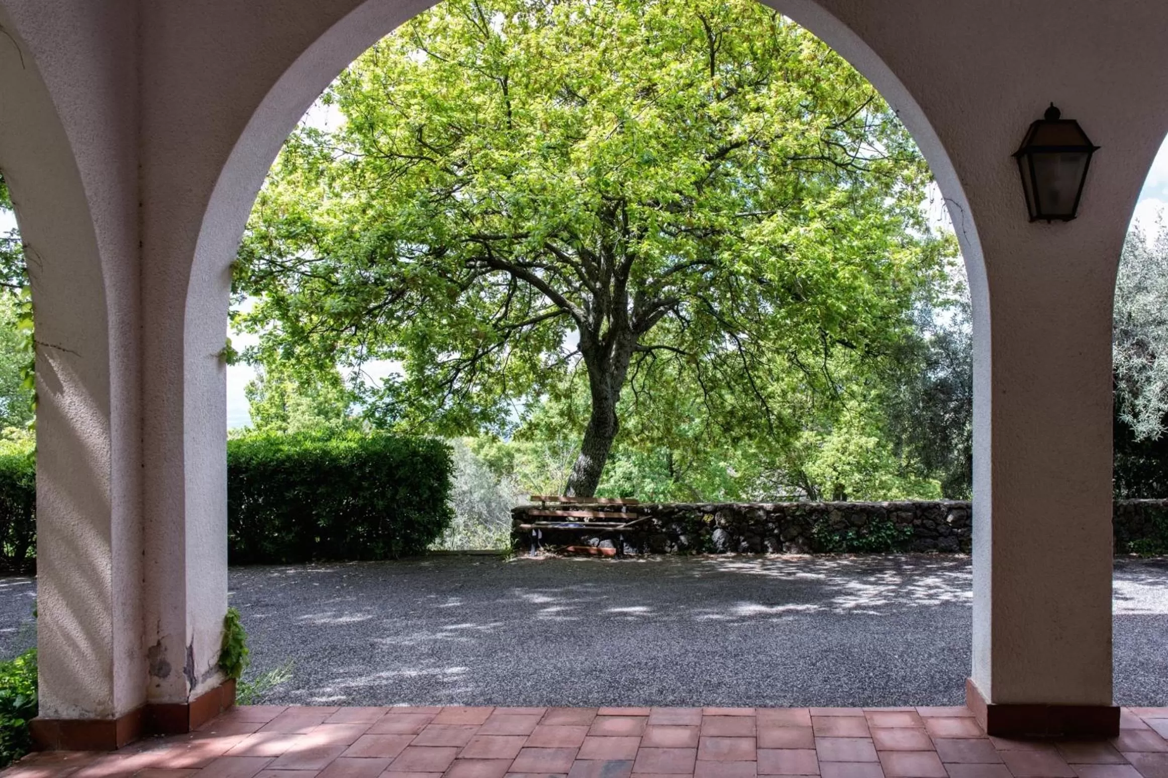 Garden in Domus Verdiana