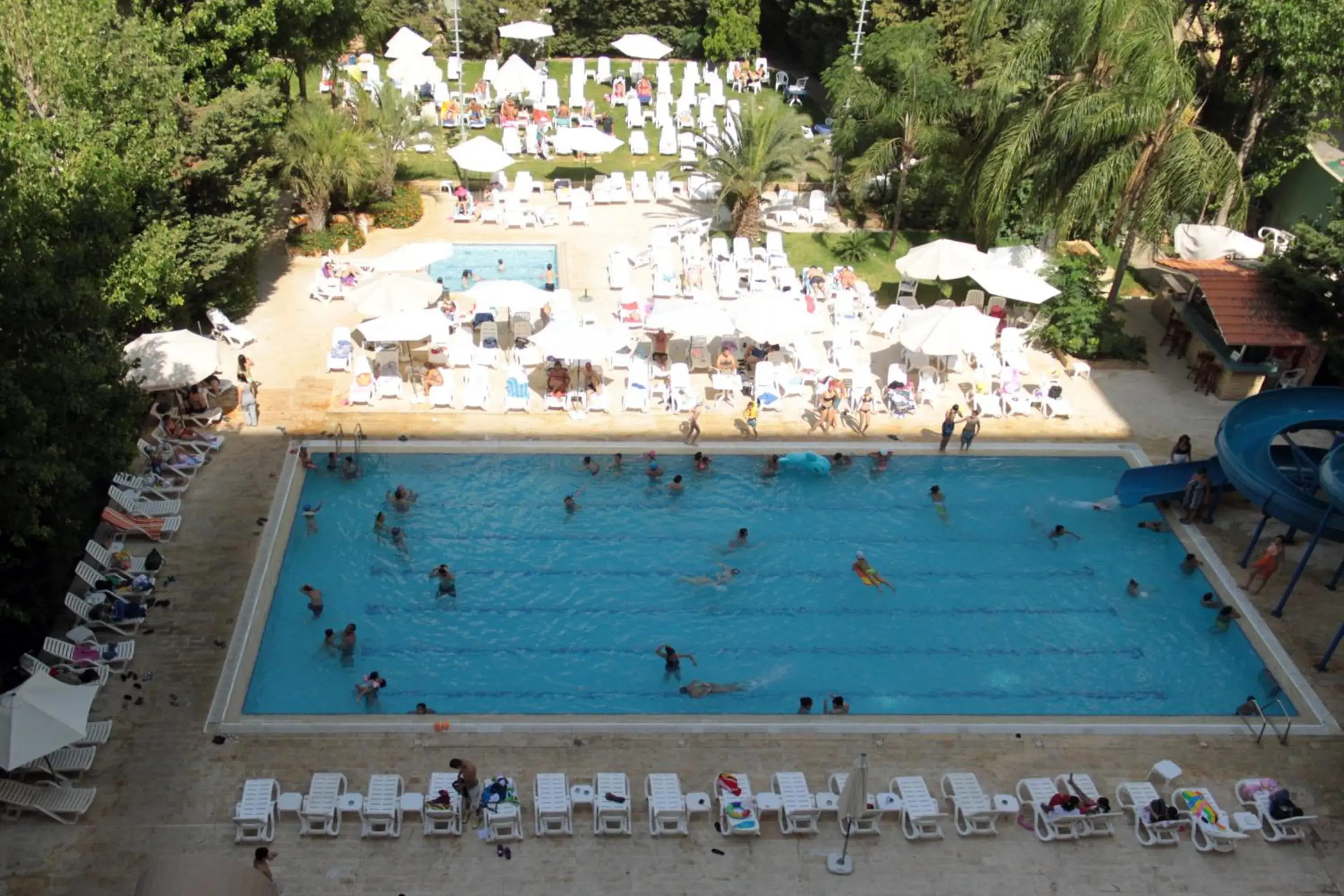 Swimming pool, Pool View in Cosmopolitan Hotel