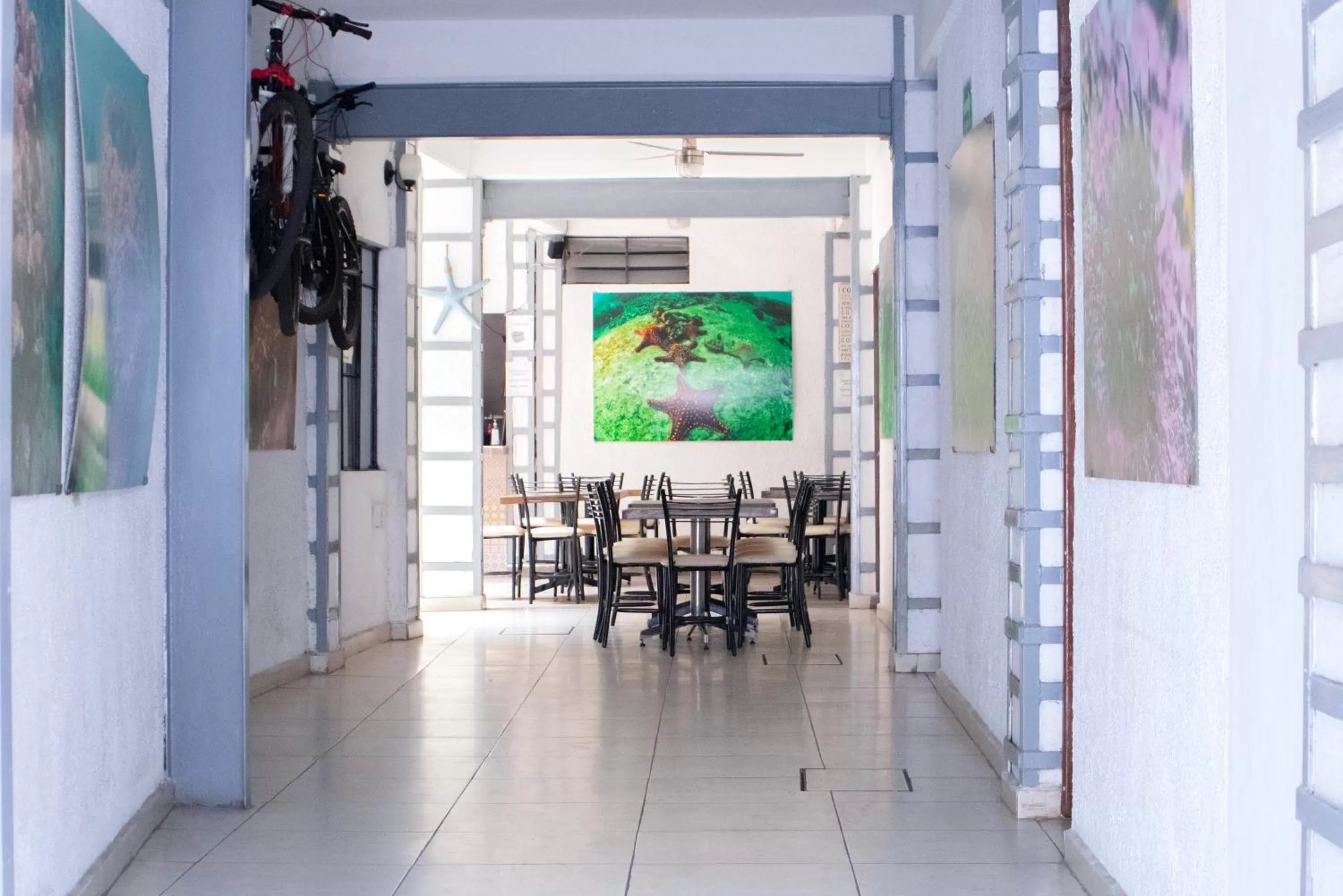 Restaurant/places to eat in Acapulco Amor