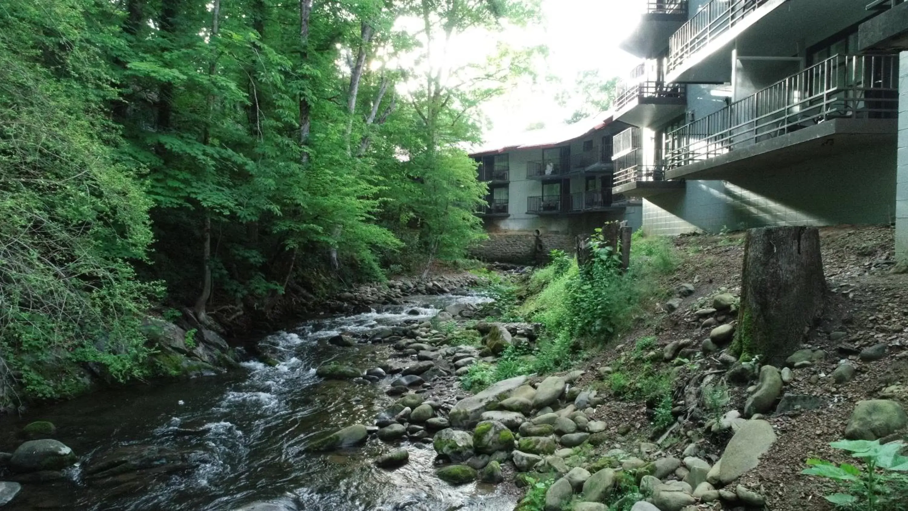 Property Building in Bear Creek Inn Gatlinburg, TN