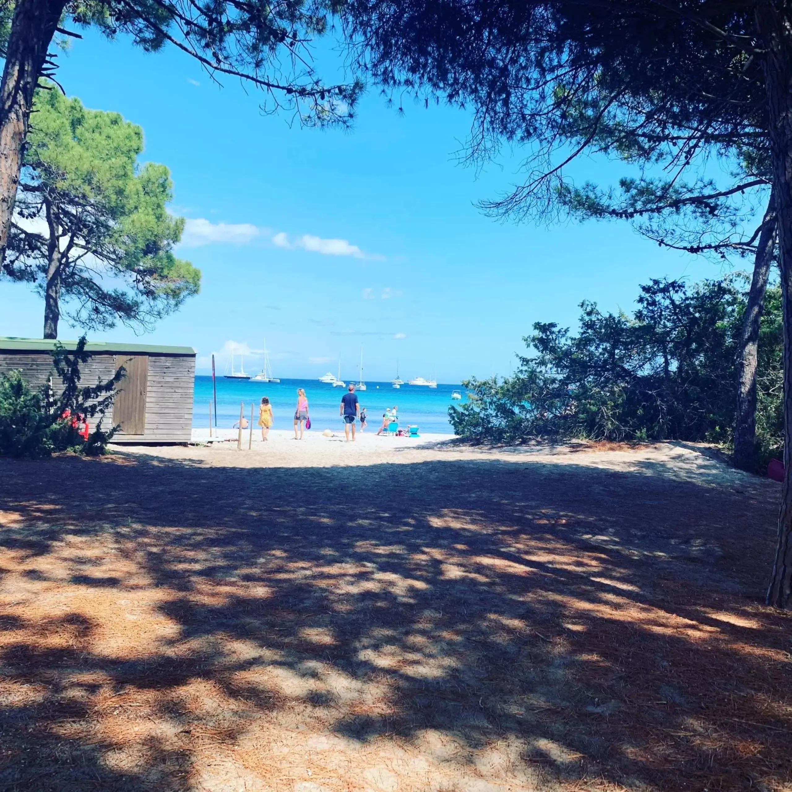 Beach in Restaurant - Chambres d'Hôtes Terra Bella Lecci