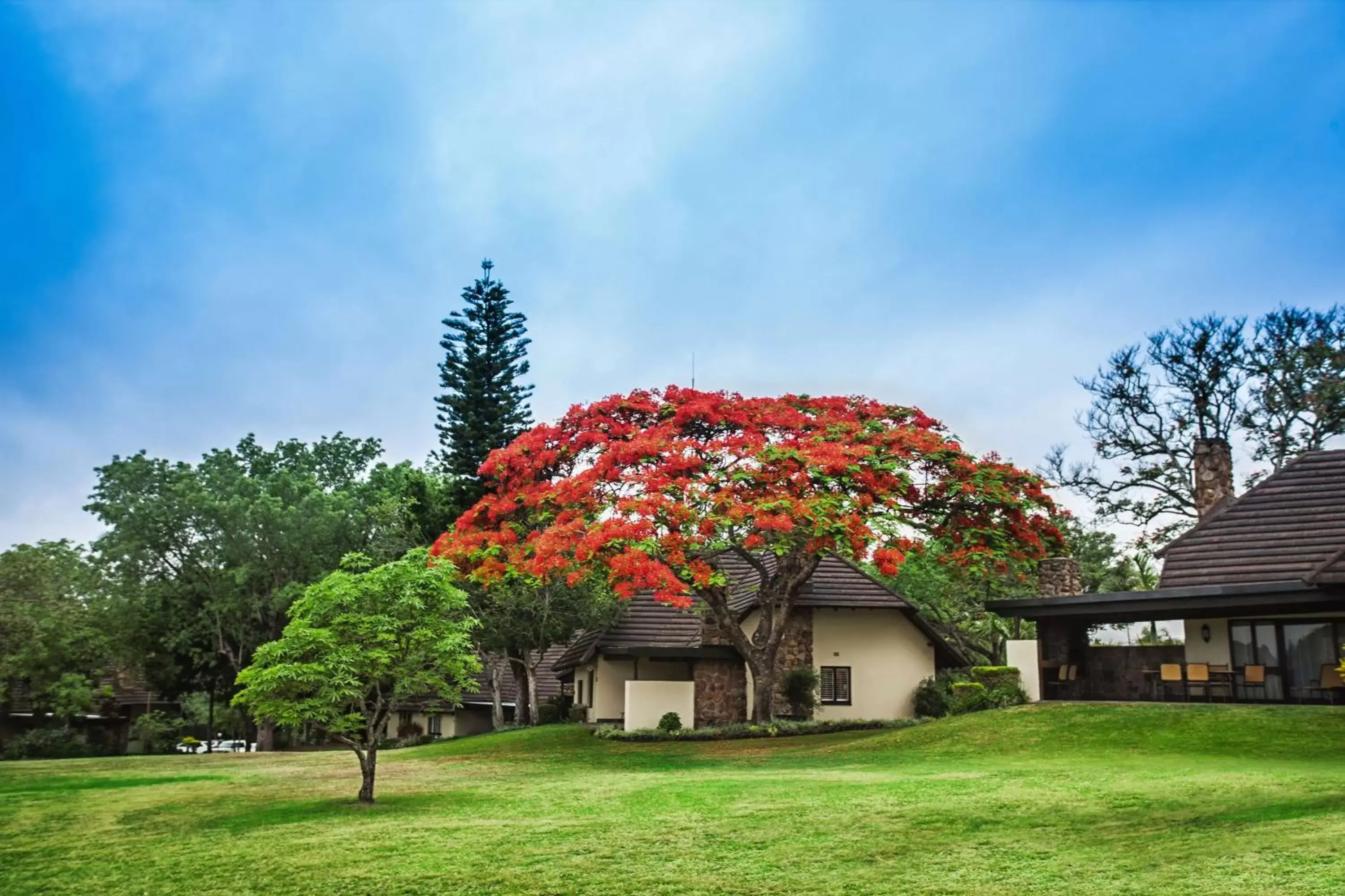 Property Building in Sabi River Sun Resort