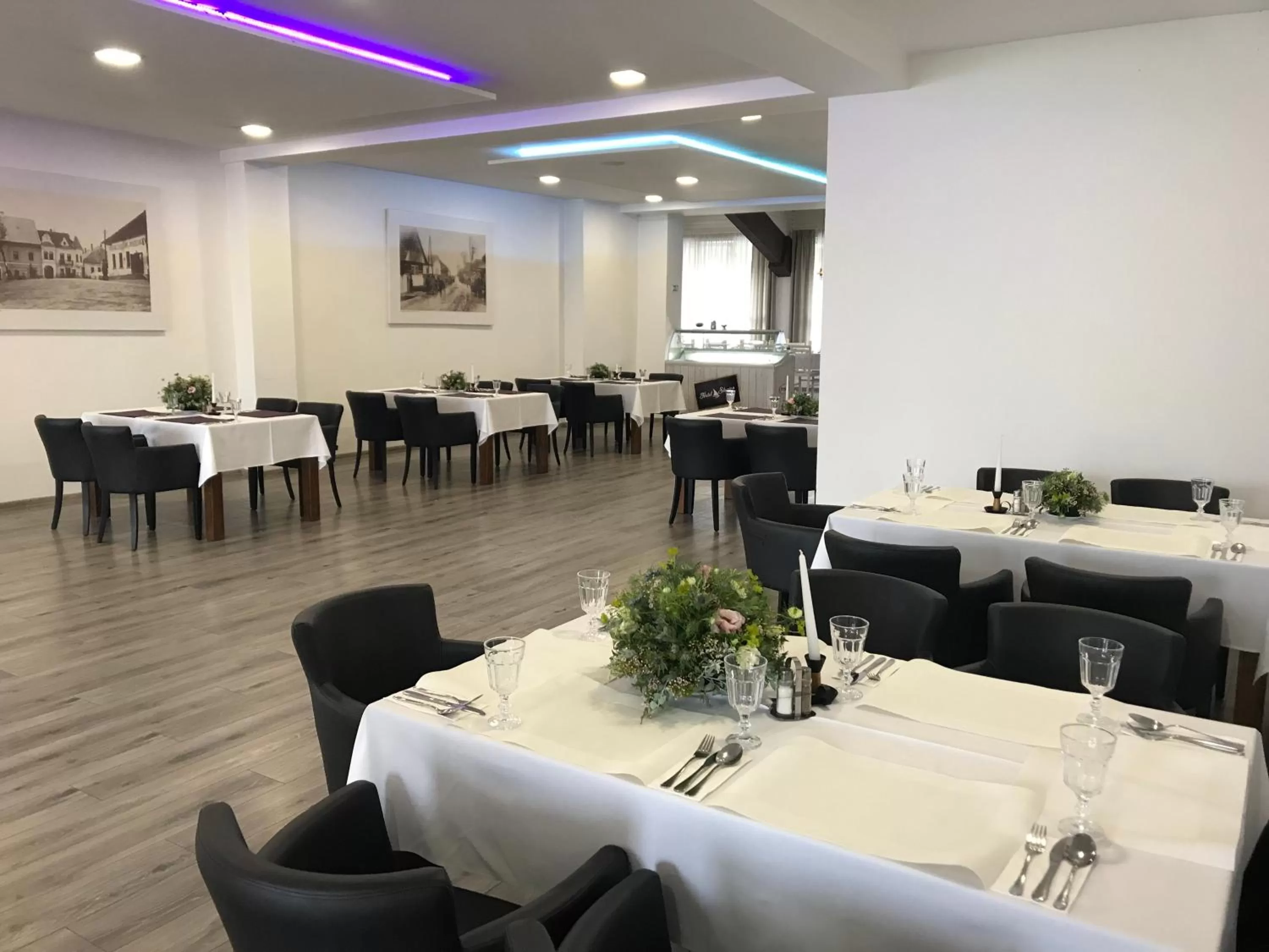 Restaurant/Places to Eat in Hotel Slanica