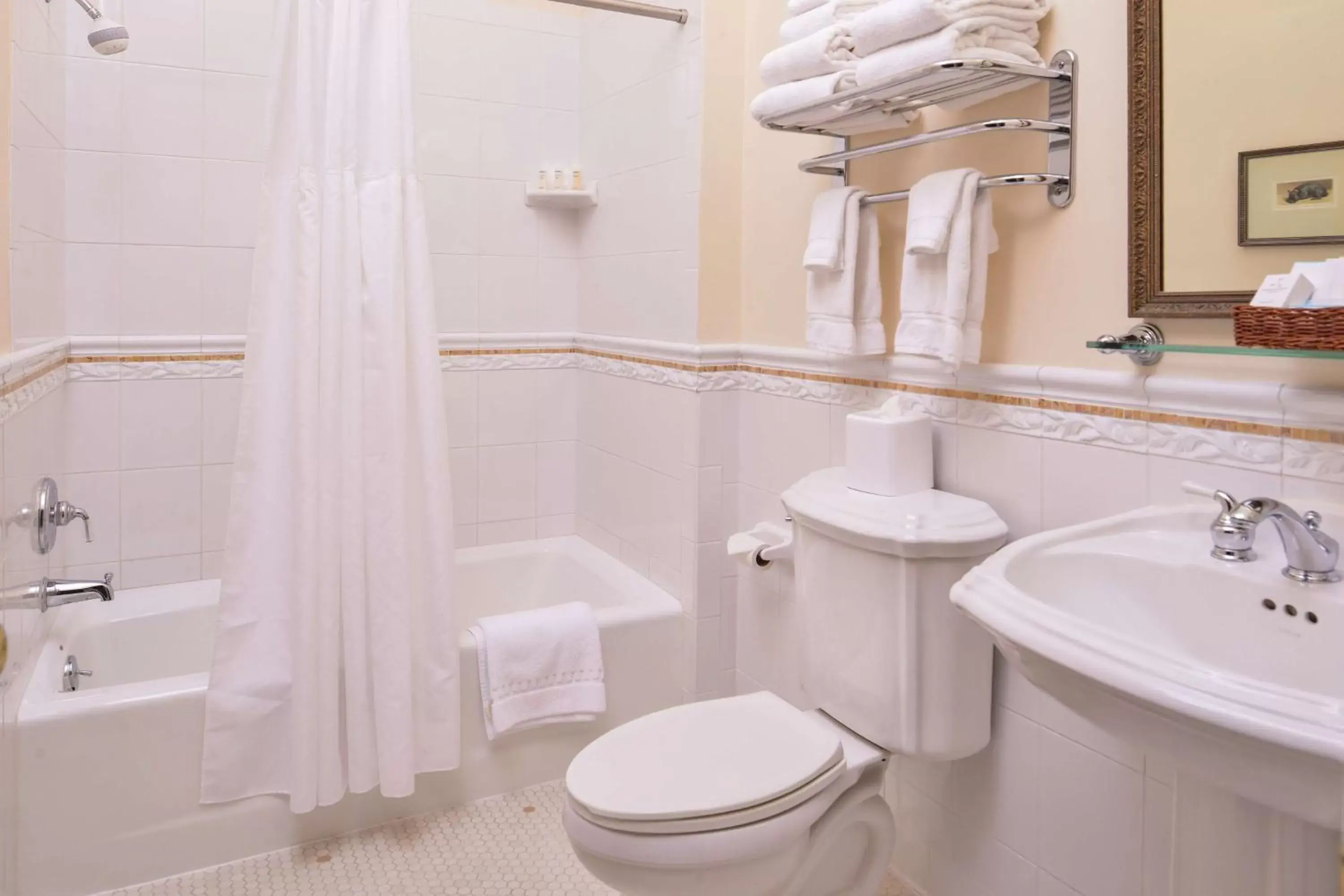 Bathroom in Hampton Inn Lexington Historic Area