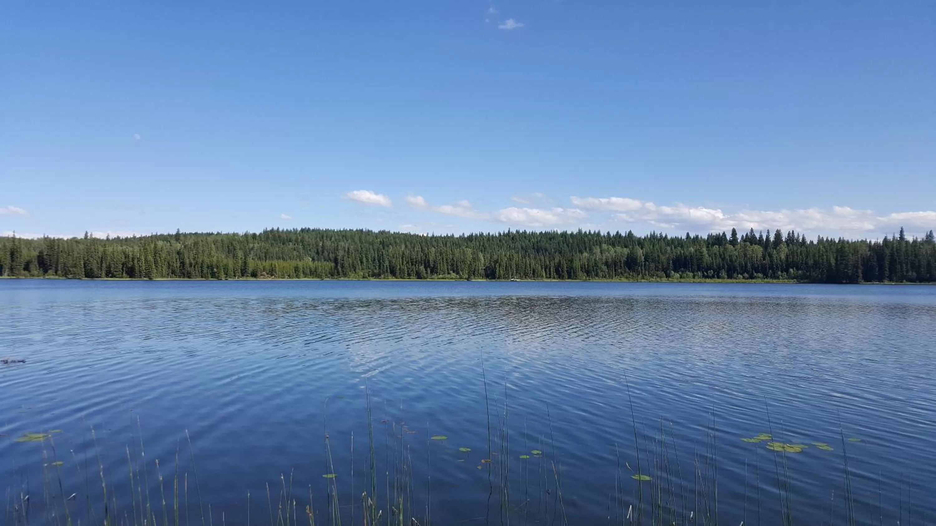 Natural landscape in Wettstone Guest Ranch