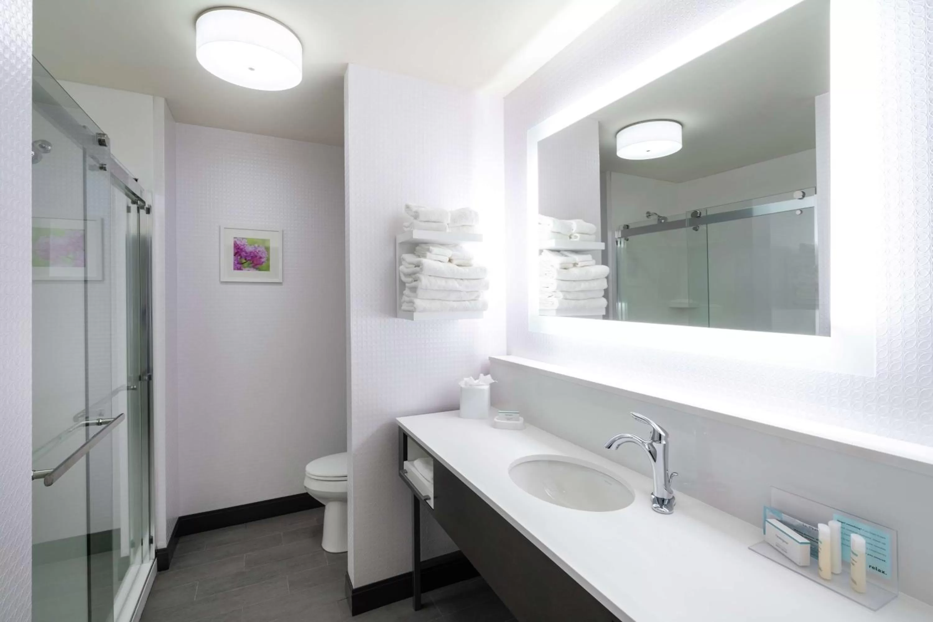 Bathroom in Hampton Inn Weston, WV