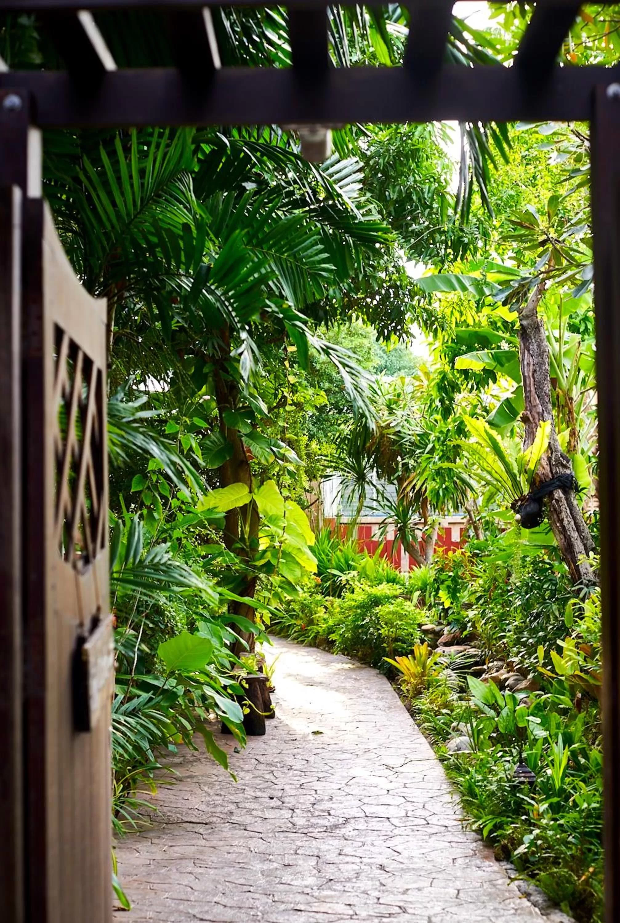 Garden in Ruenkanok Thaihouse Resort