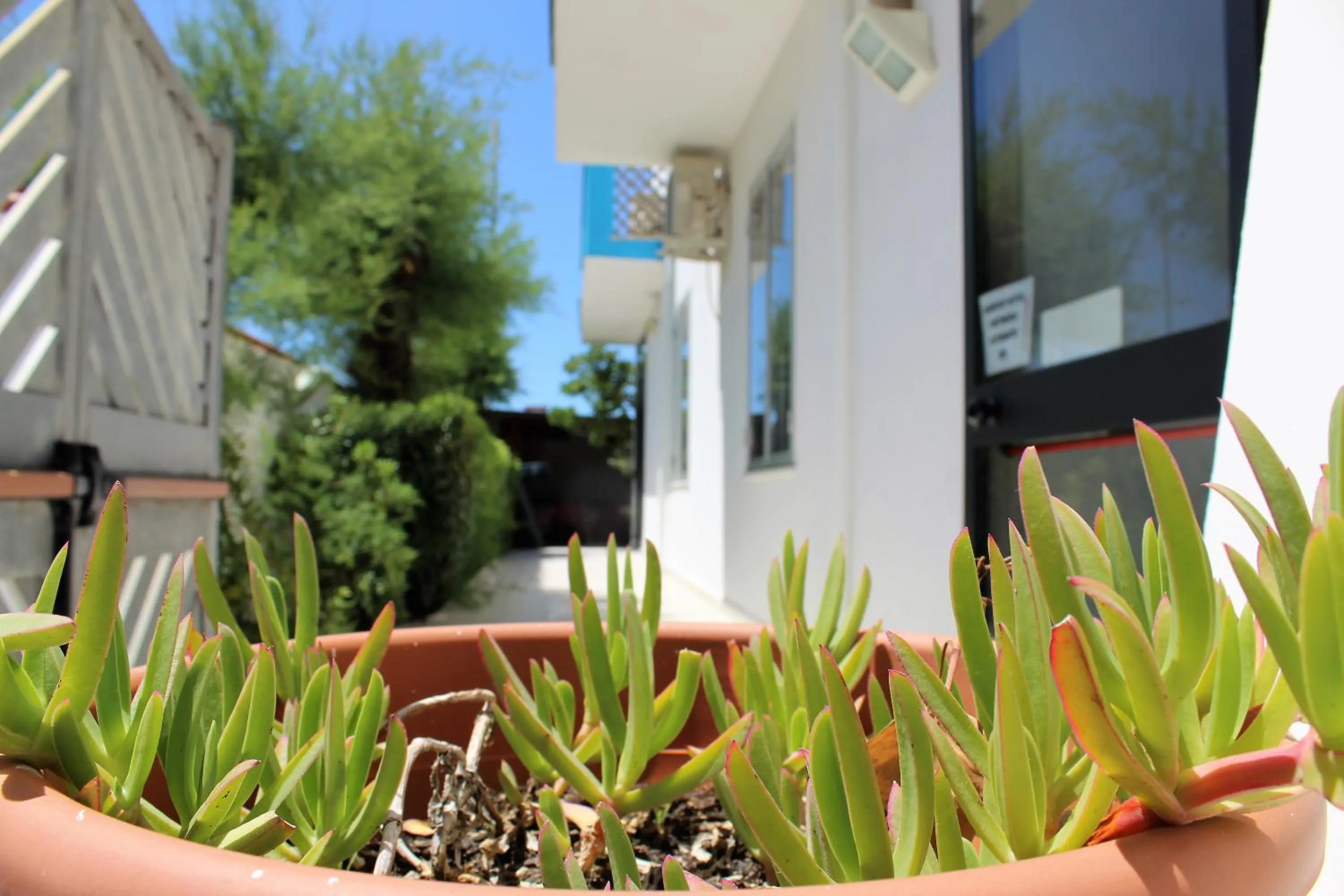 Facade/entrance in Hotel Eco Del Mare