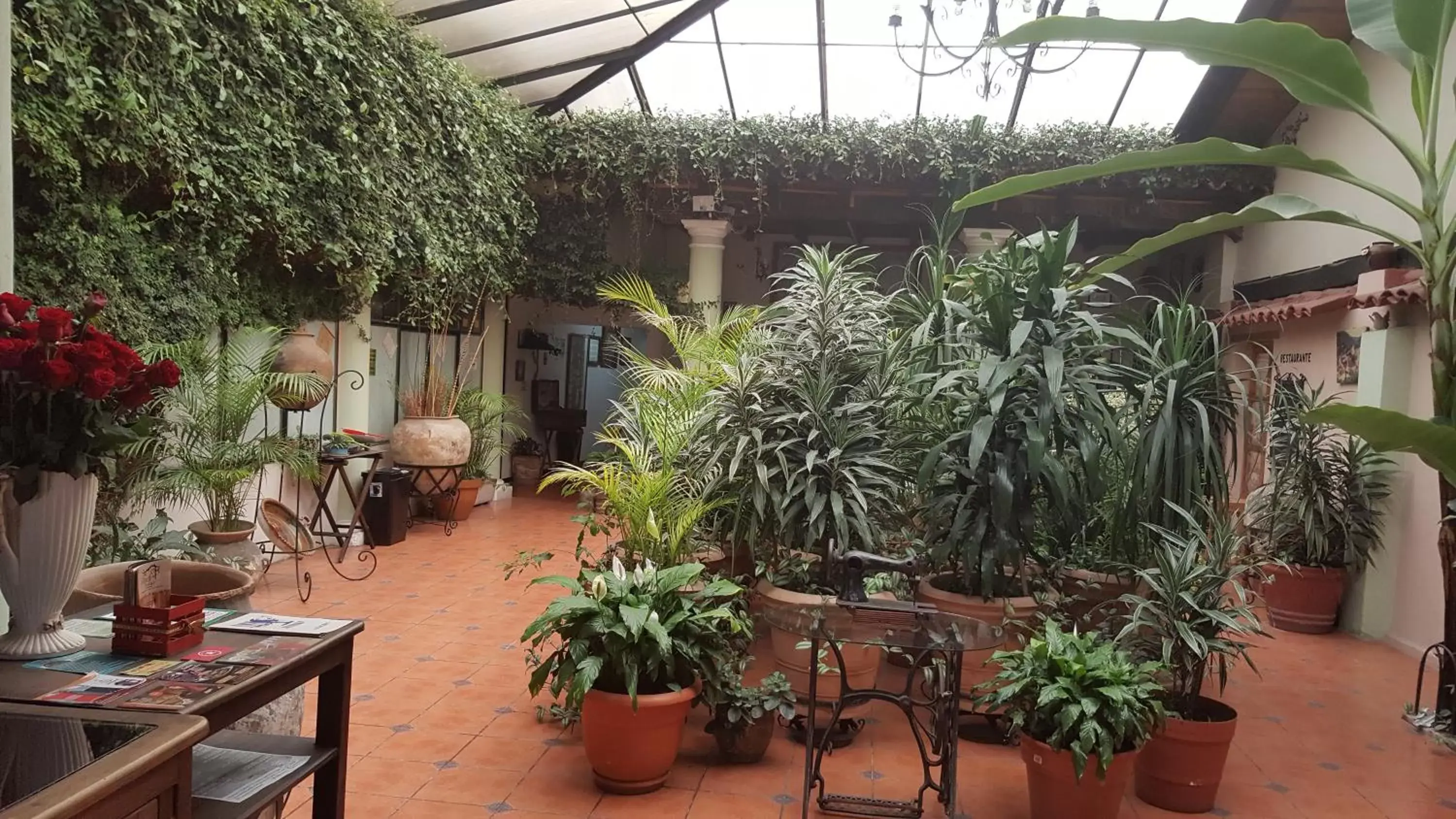 Hotel San Luis Hotel San Luis