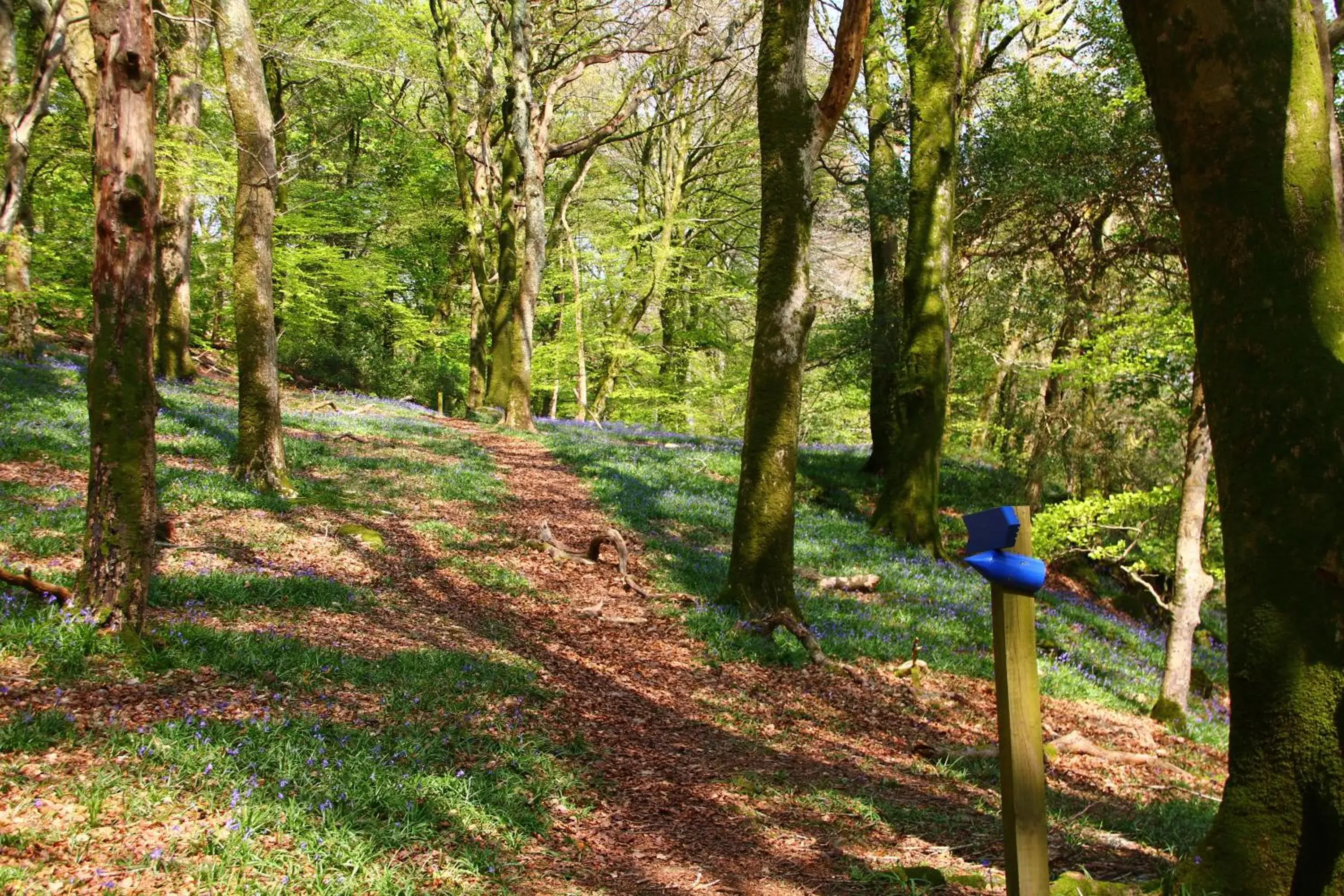 Area and facilities in Aberdunant Hall Country Hotel