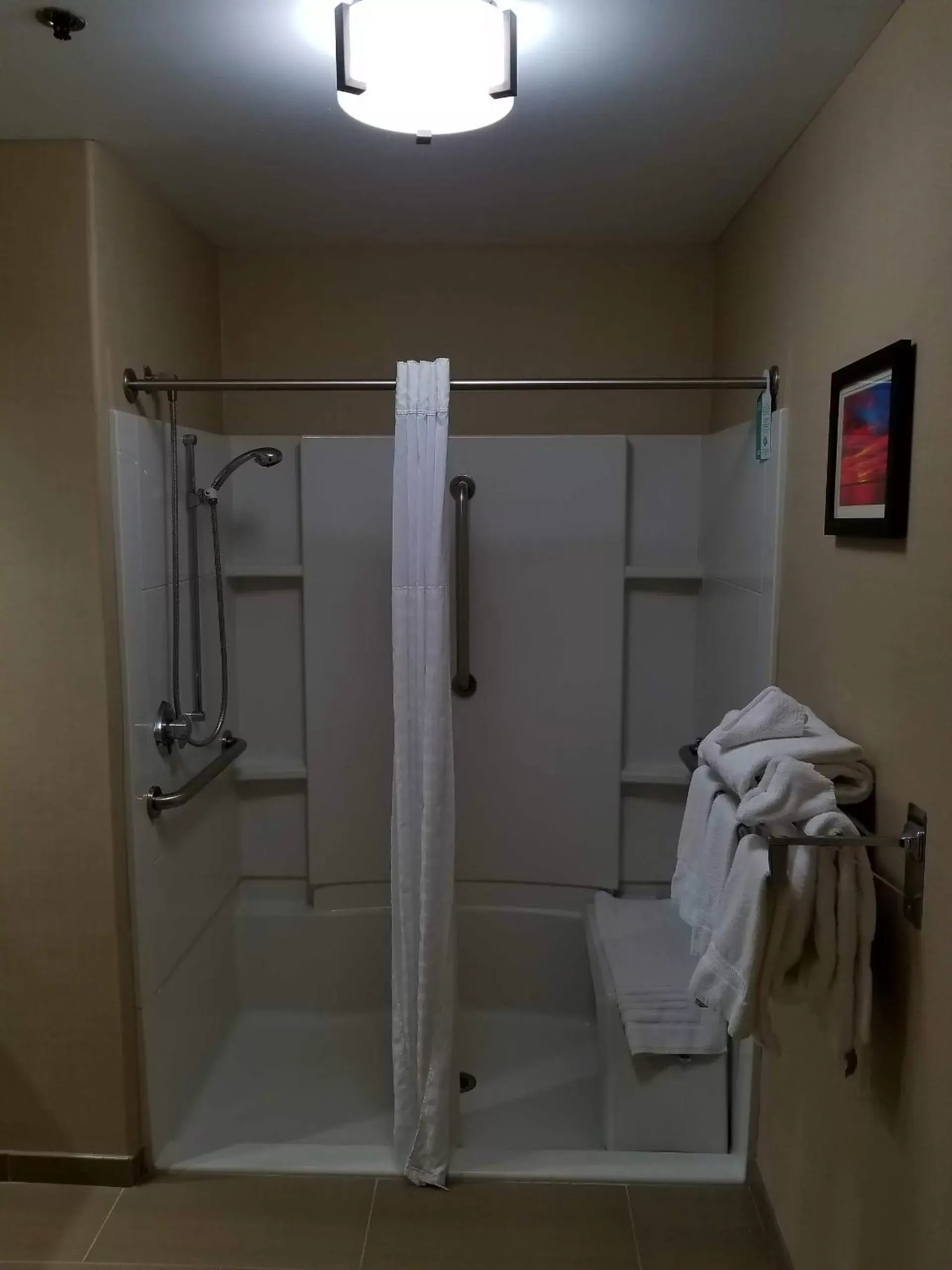 Shower, Bathroom in Comfort Inn, Erie - Near Presque Isle