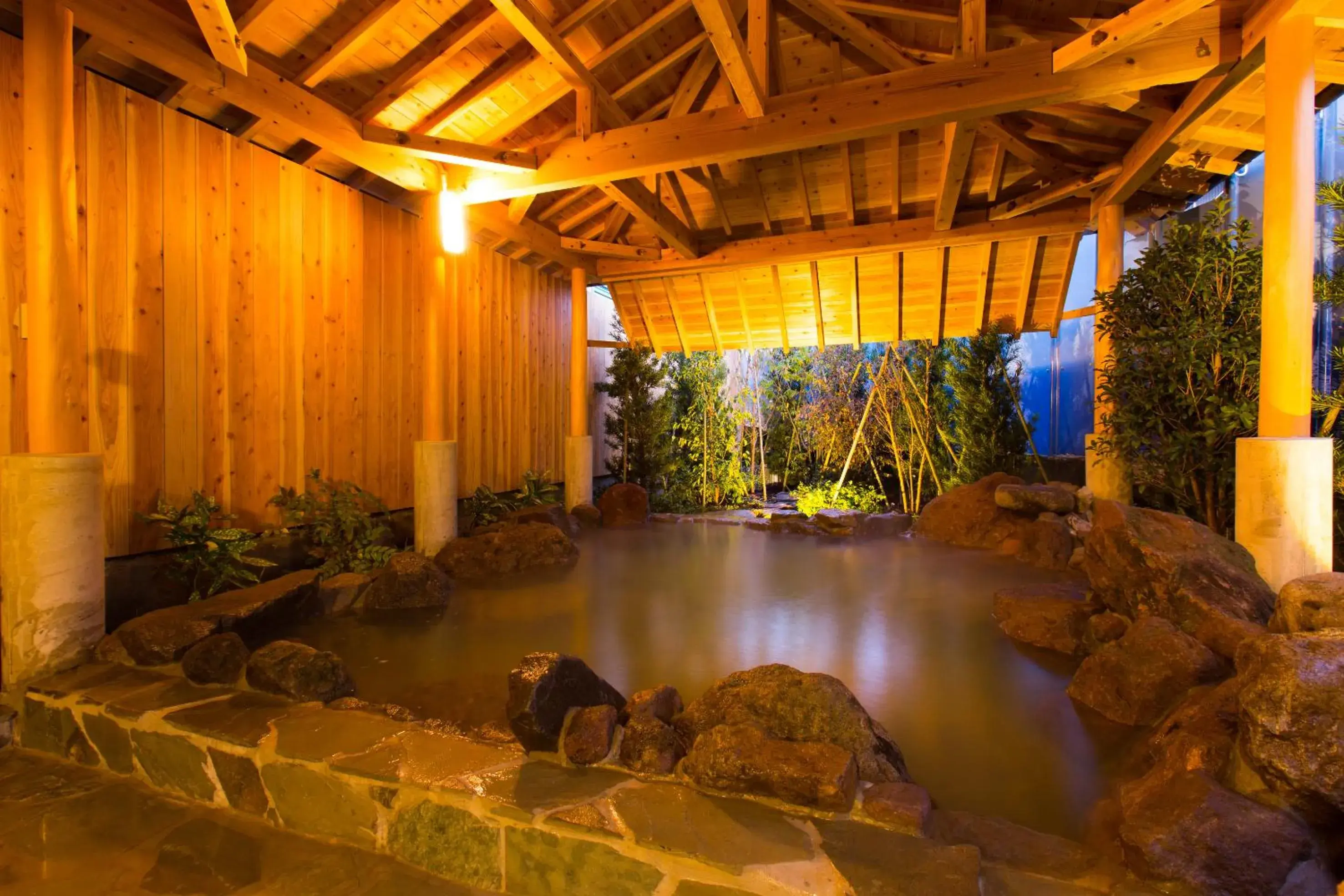 Hot Spring Bath, Spa/Wellness in Hotel Star