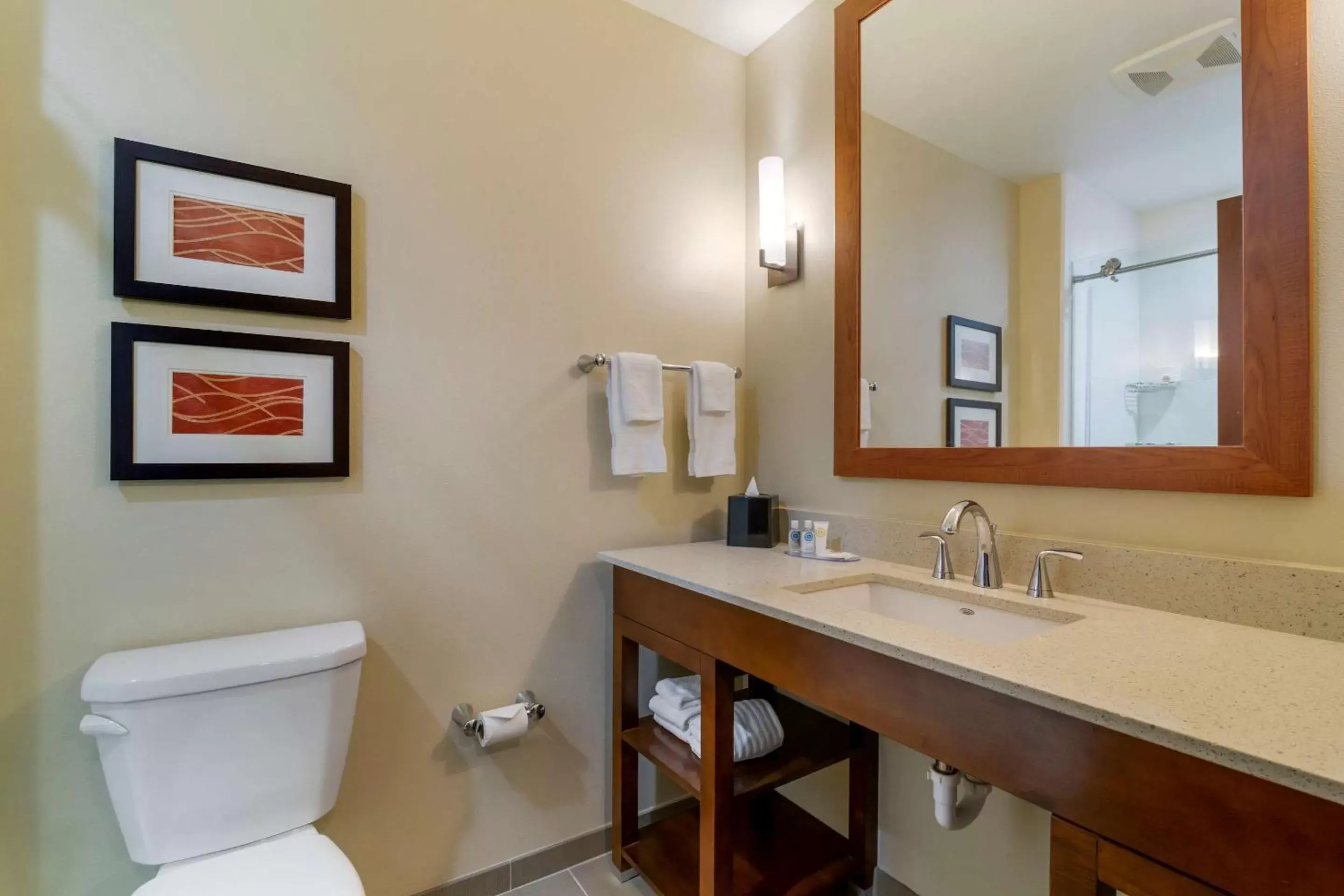 Photo of the whole room, Bathroom in Comfort Inn & Suites Mandan - Bismarck