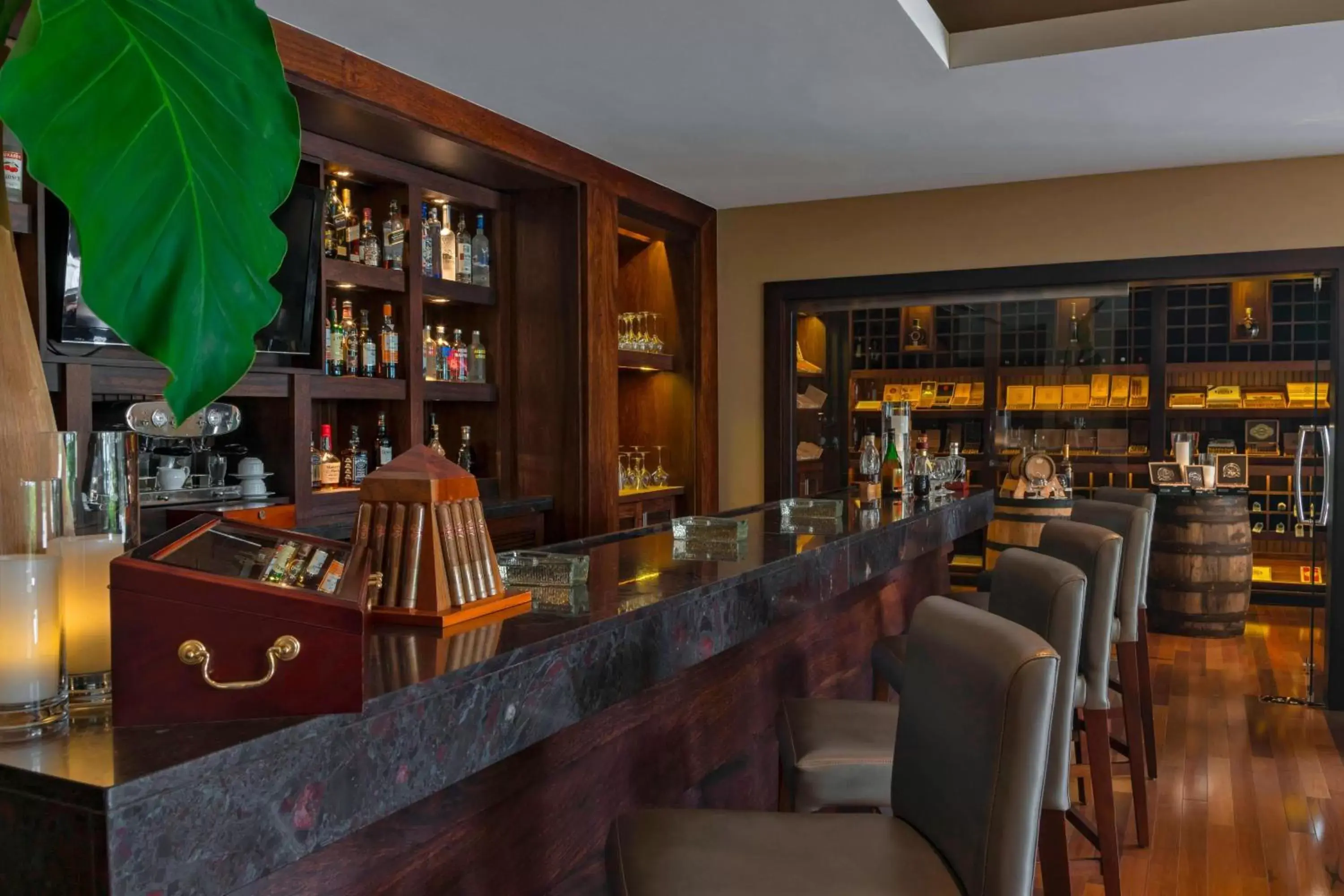 Lounge or bar, Lounge/Bar in The Westin Puntacana Resort & Club